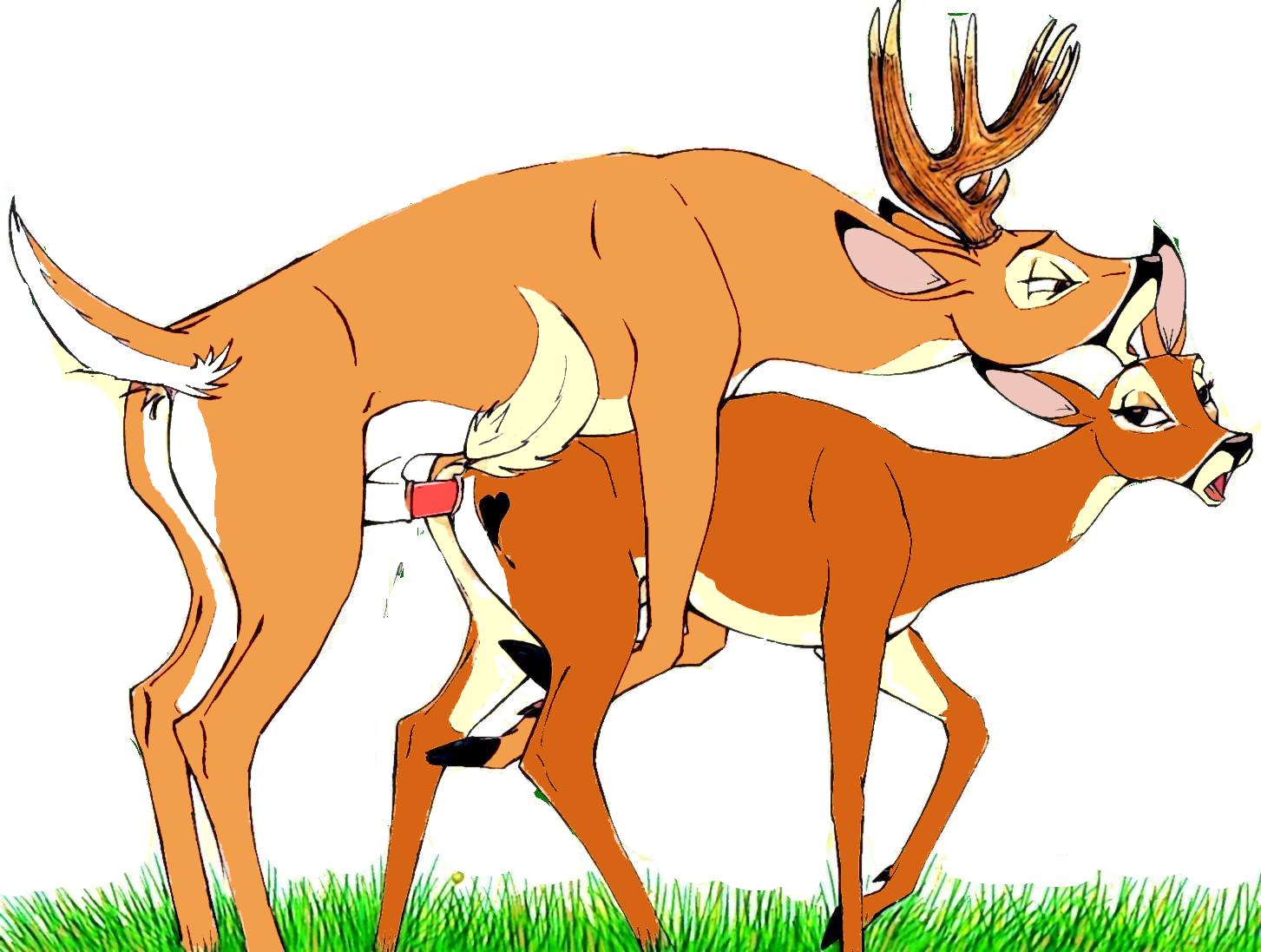 Deer fucking sex