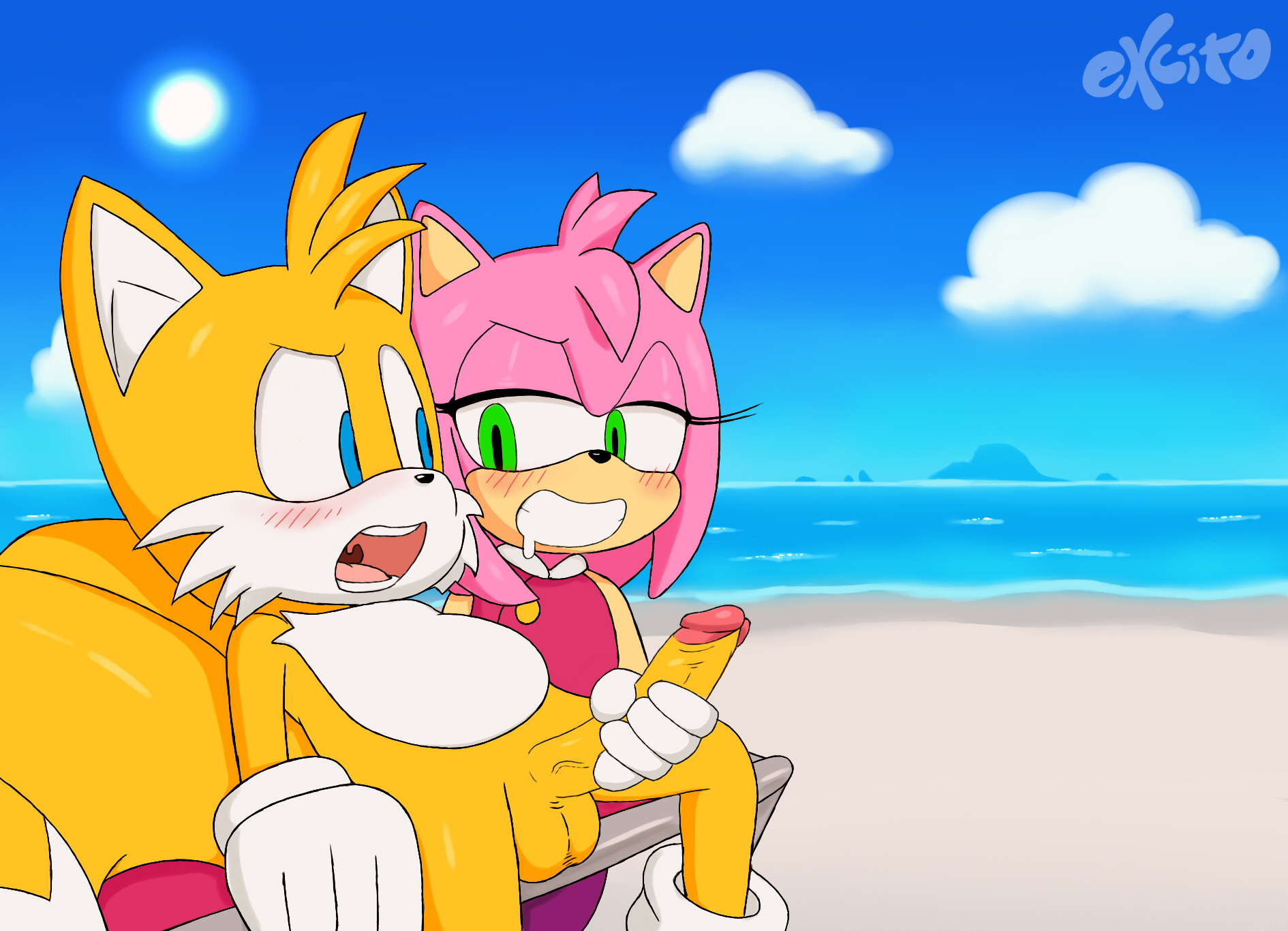 excito, amy rose, tails, sonic (series), 1boy, 1girls, balls, beach, blue e...