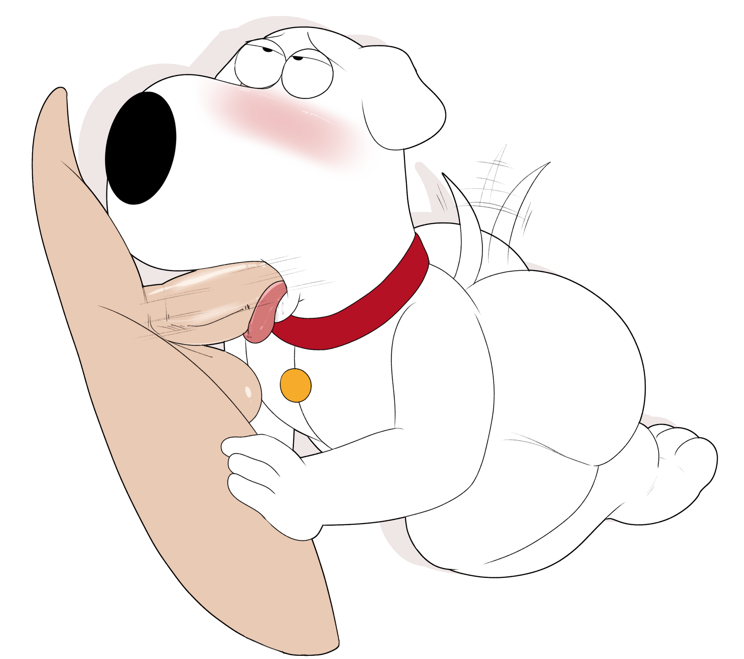 jerseydevil, brian griffin, family guy, ass, balls, blush, canine, collar, ...