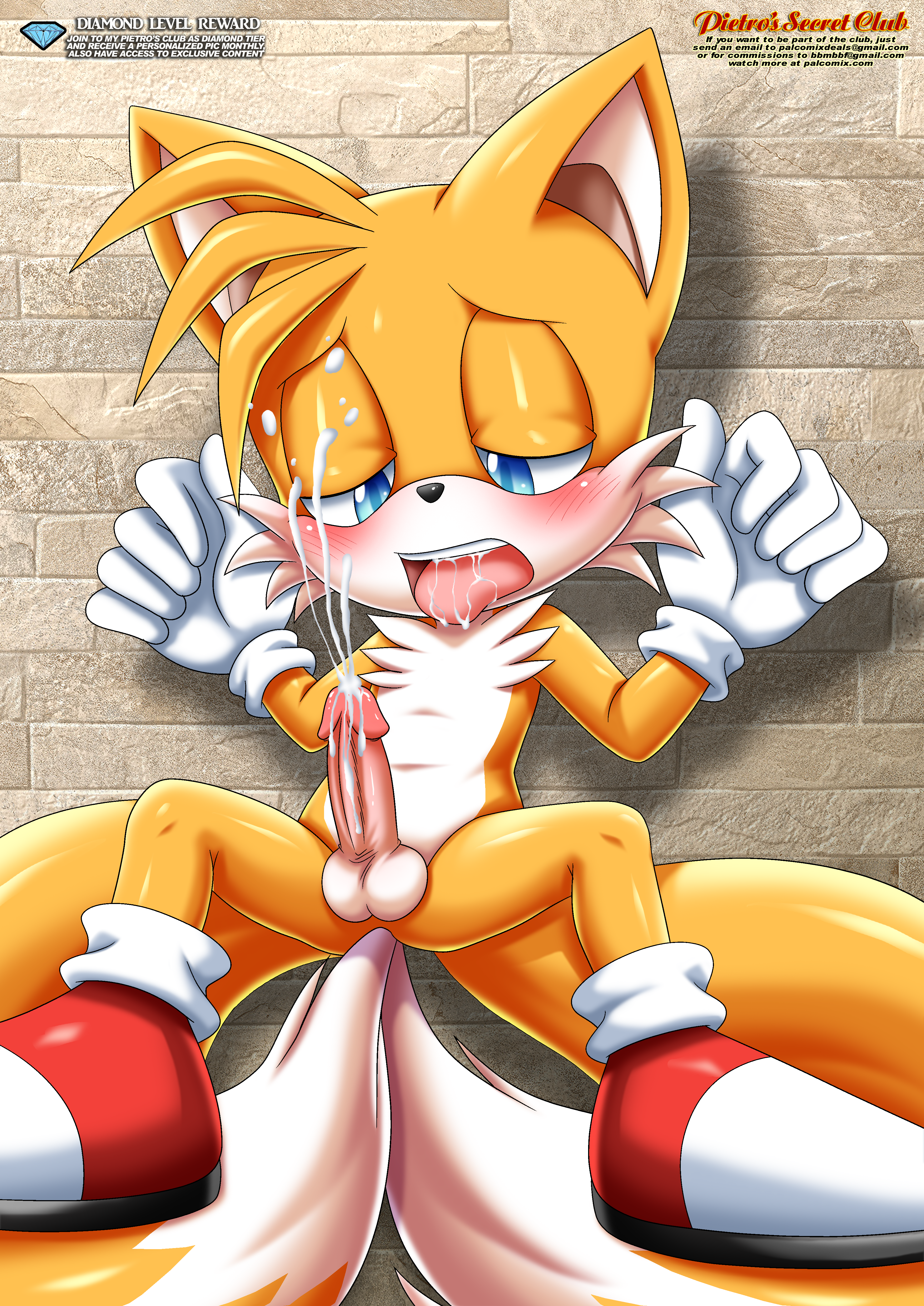 Sonic tails yaoi hentai фото 60