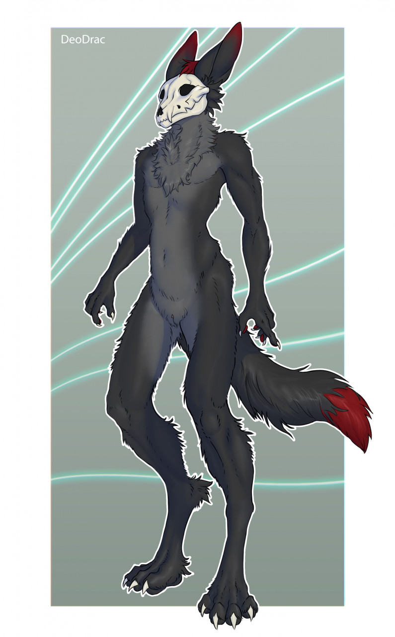 hi res, andromorph, anthro, black body, black fur, bone, canid, canine, canis, claws, deodrac, fur, genitals, grey body, grey fur, intersex, long ears, mammal, nude, pussy, red body, red fur, red tail tip, skull, skull head, solo, standing, white claws, wolf, 