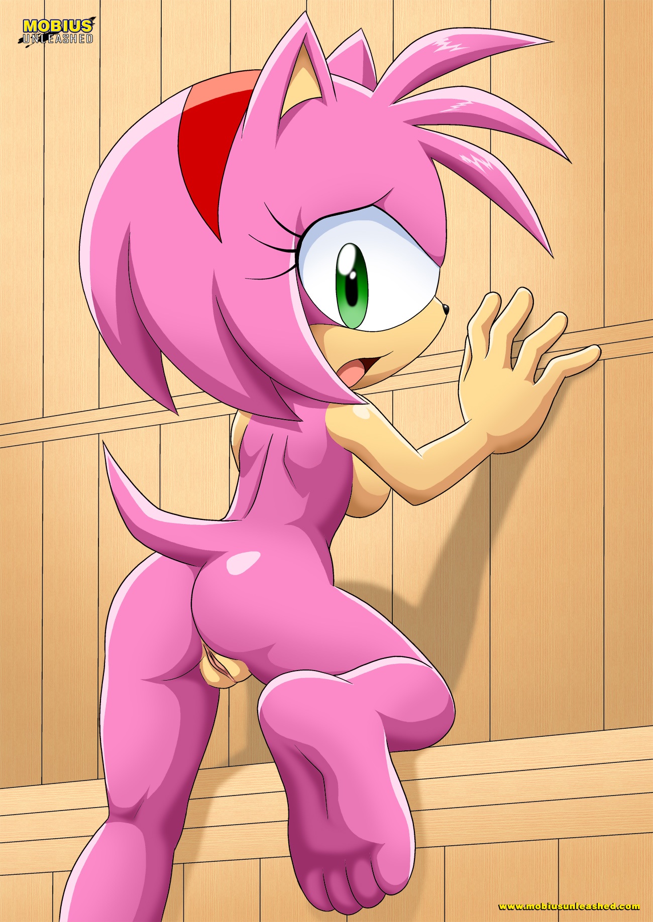 bbmbbf, palcomix, amy rose, mobius unleashed, sega, sonic (series), sonic t...