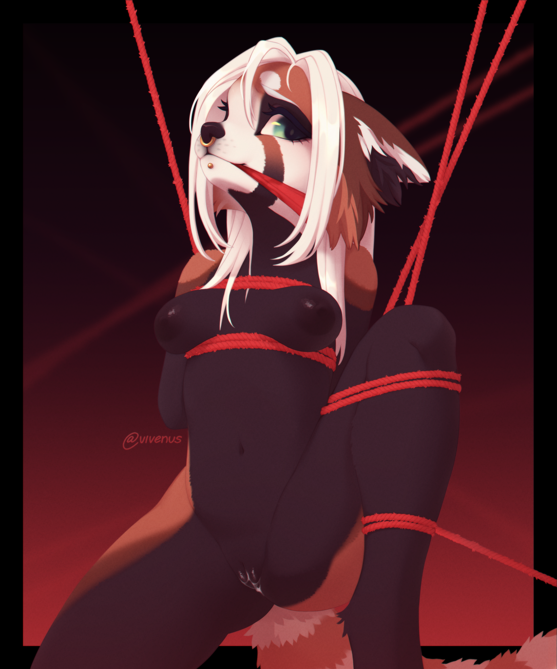 2022 ailurid anthro areola arms_tied artist_name ass bangs biped black_areola black_background black_body black_fur black_nose blonde_hair blue_eyes bodily_fluids bondage bound breasts cheek_tuft cloth_gag digital_media_(artwork) ears_down eyebrows eyelashes facial_markings facial_piercing facial_tuft female fur gag gagged genital_fluids genitals glistening glistening_eyes gradient_background hair hands_behind_back head_markings hi_res inner_ear_fluff innie_pussy jewelry legs_up long_hair looking_at_viewer mammal markings medium_breasts multicolored_body multicolored_fur navel nipples nose_piercing nose_ring nude orange_body orange_fur piercing pivoted_ears portrait pussy raised_eyebrows red_background red_panda restraints ring_piercing rope rope_bondage signature simple_background solo spread_legs spreading striped_markings striped_tail stripes submissive submissive_anthro submissive_female suspension tail tail_markings three-quarter_portrait tuft unknown_character vaginal_fluids vivenus white_body white_fur