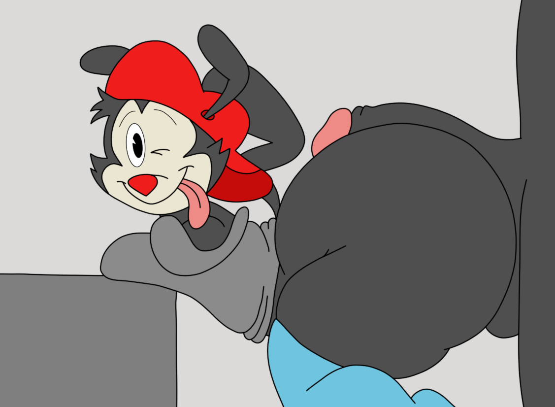 Rule34 - If it exists, there is porn of it / wakko warner, yakko warner /  5953884