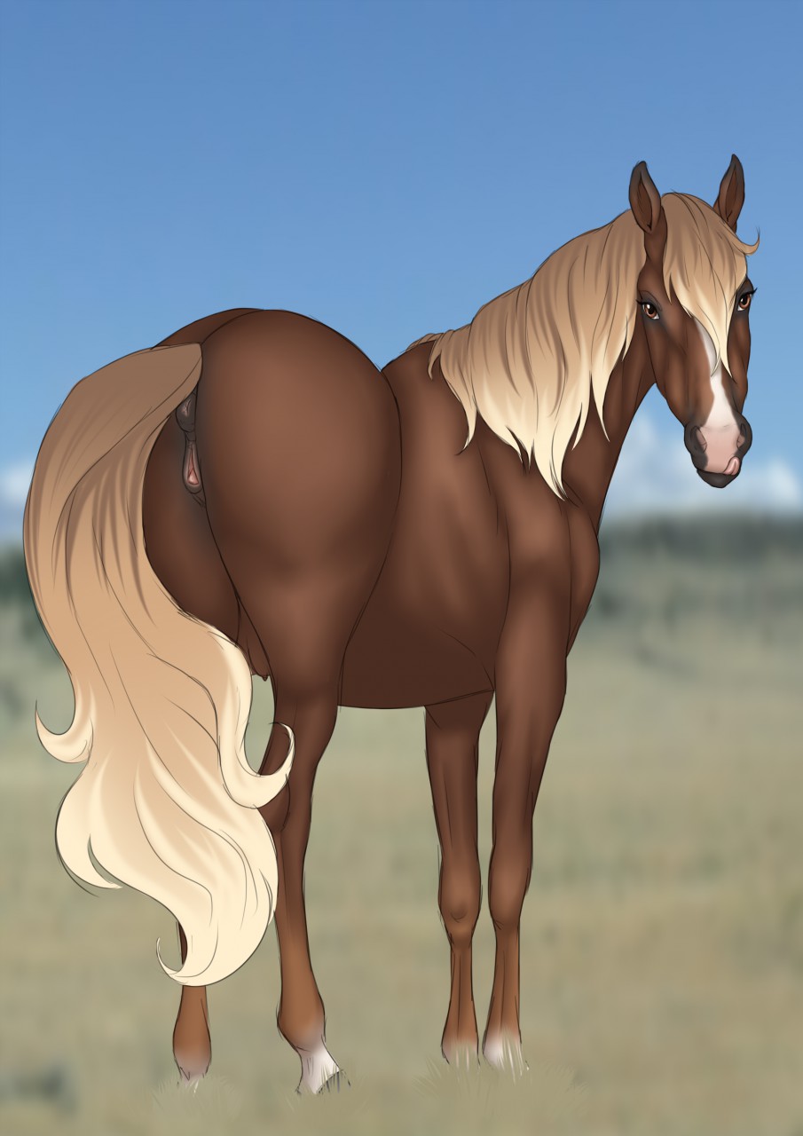 Horse pussy licking