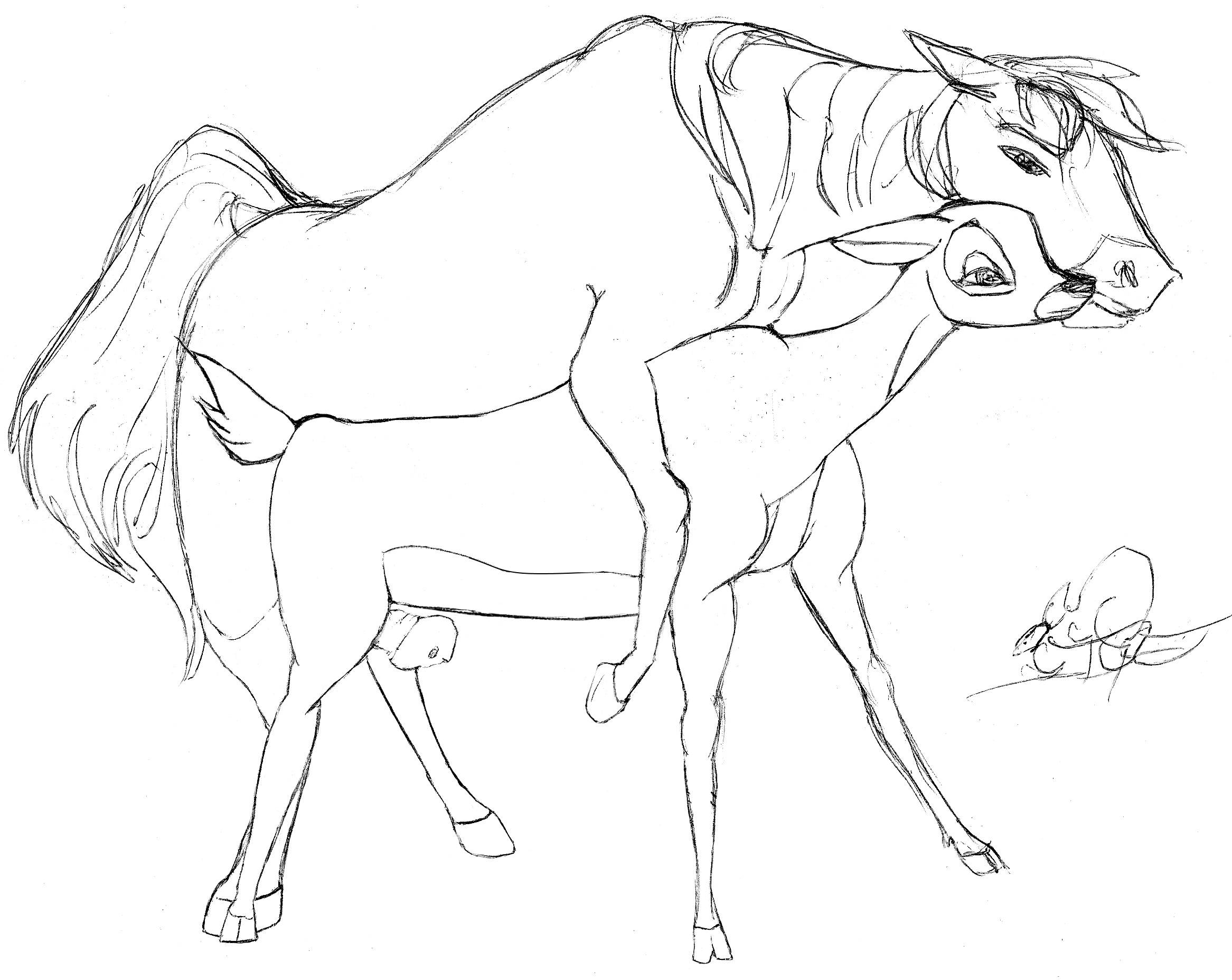 queensmate, bambi, faline, spirit (cimarron), disney, dreamworks, spirit: s...