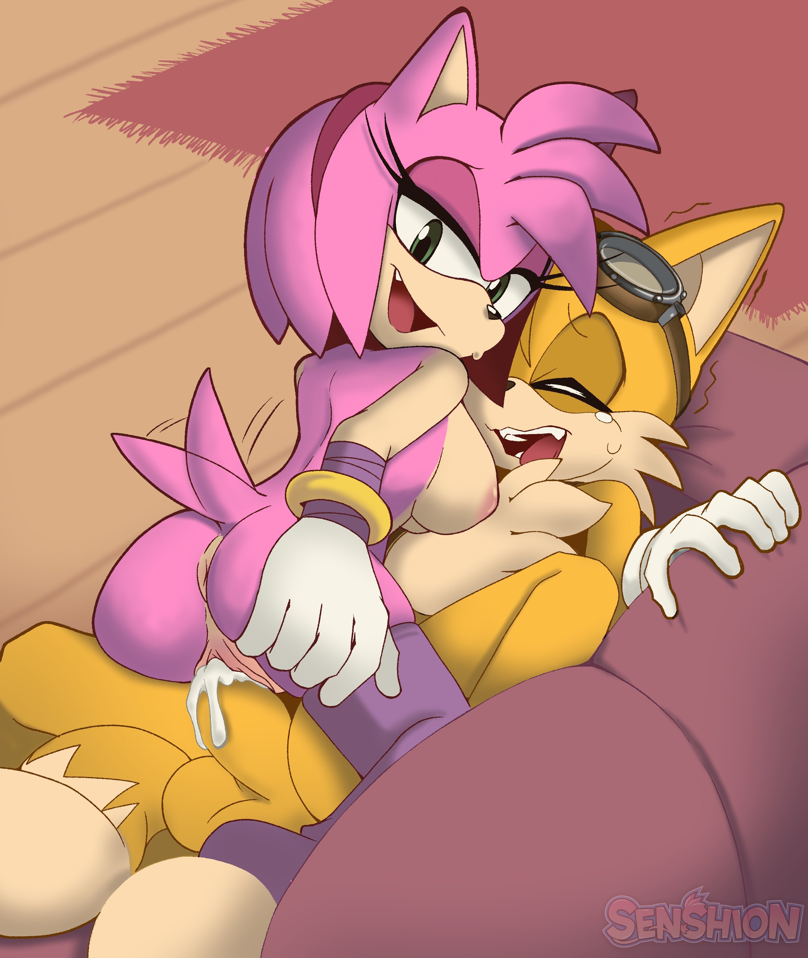 Amy rose and tails porn