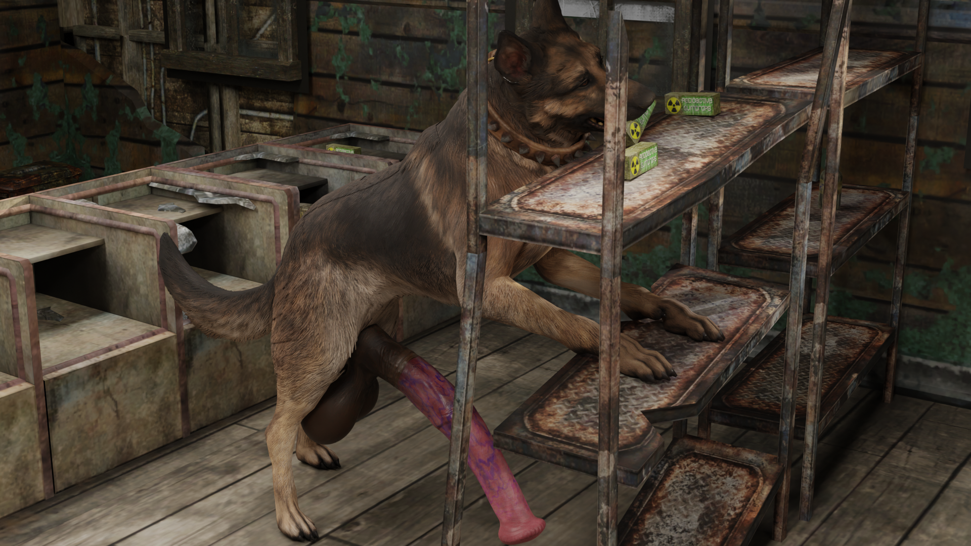 Fallout 4 4k dogmeat фото 57