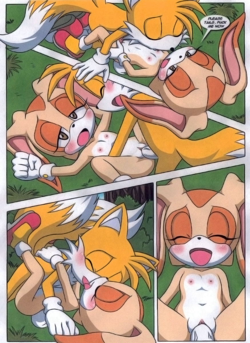 Image Cream The Rabbit Palcomix Sonic Team Tails Comic My Xxx Hot Girl