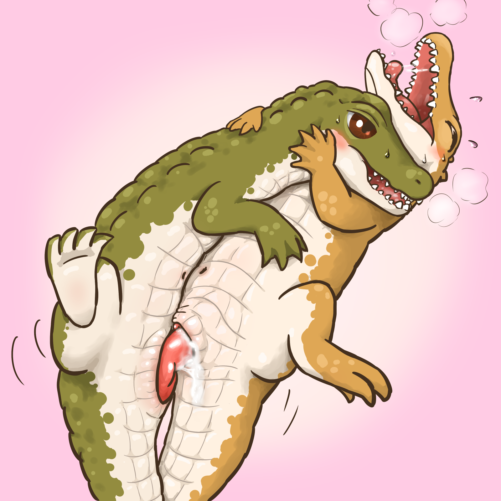 Erotic alligator