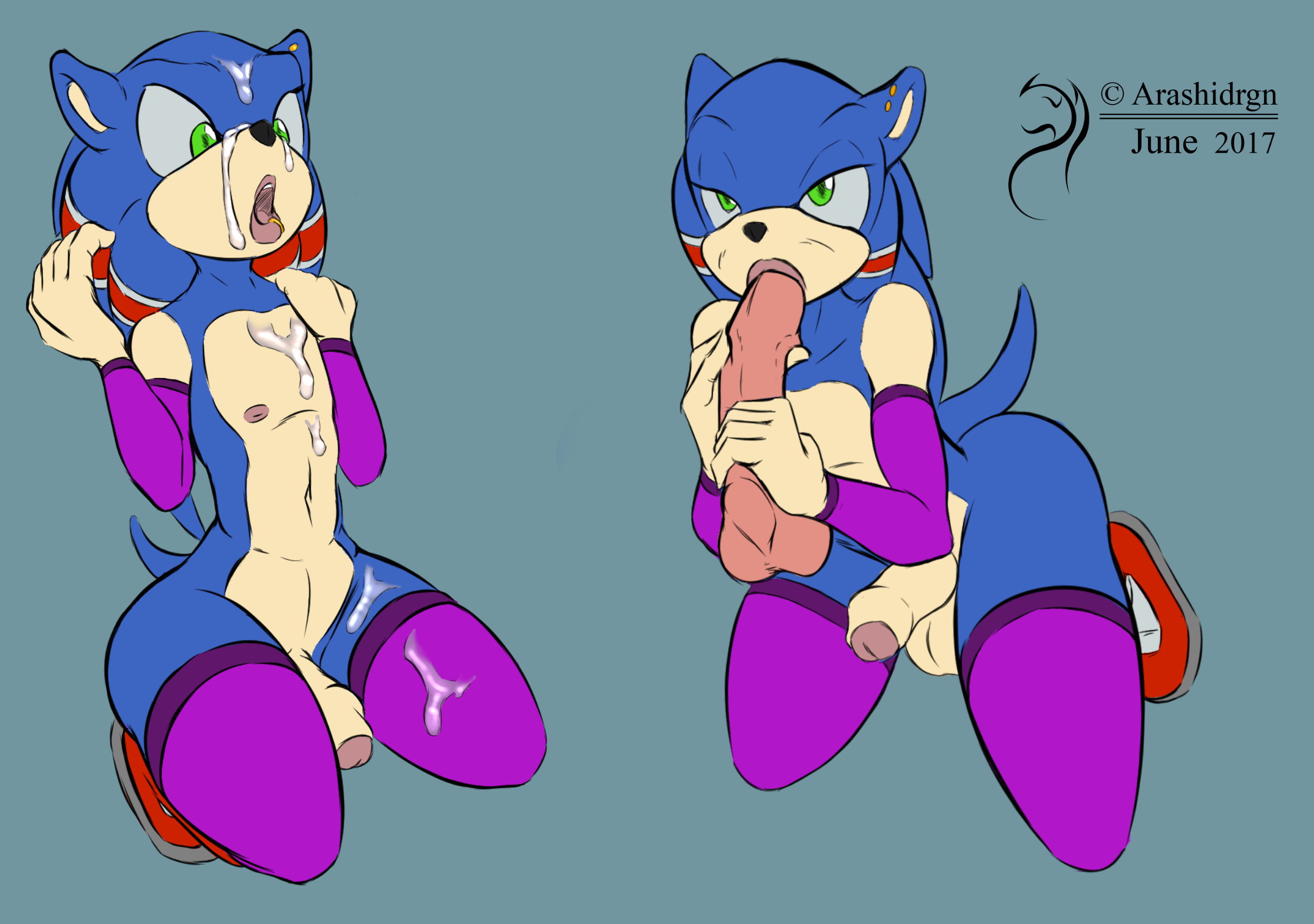 Rule34 - If it exists, there is porn of it / arashidrgn, sonic the hedgehog  / 2034714