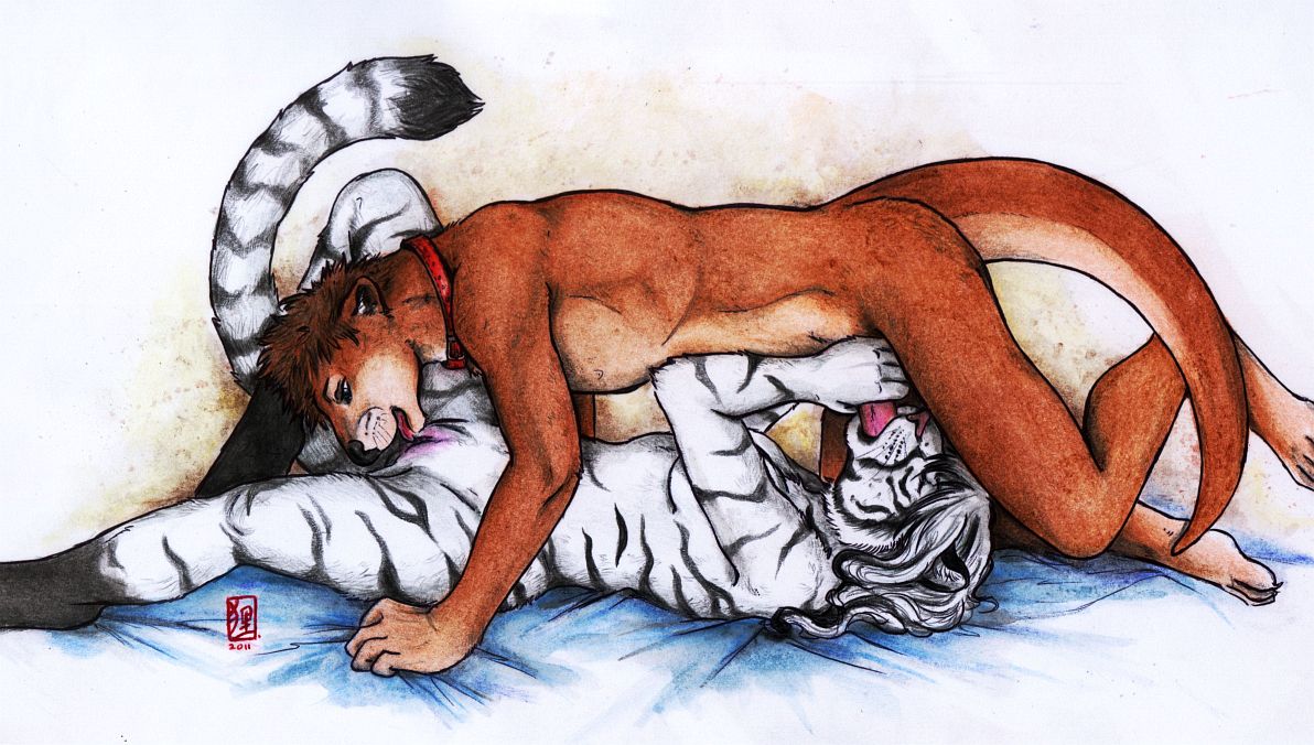 tanuki (artist), 2011, 69, anthro, breasts, collar, cunnilingus, feline, fellatio, female, fur, furry, licking, male, nude, on back, oral, oral sex, otter, penis, pussy, sex, straight, tiger, tongue, vaginal penetration, white fur, 