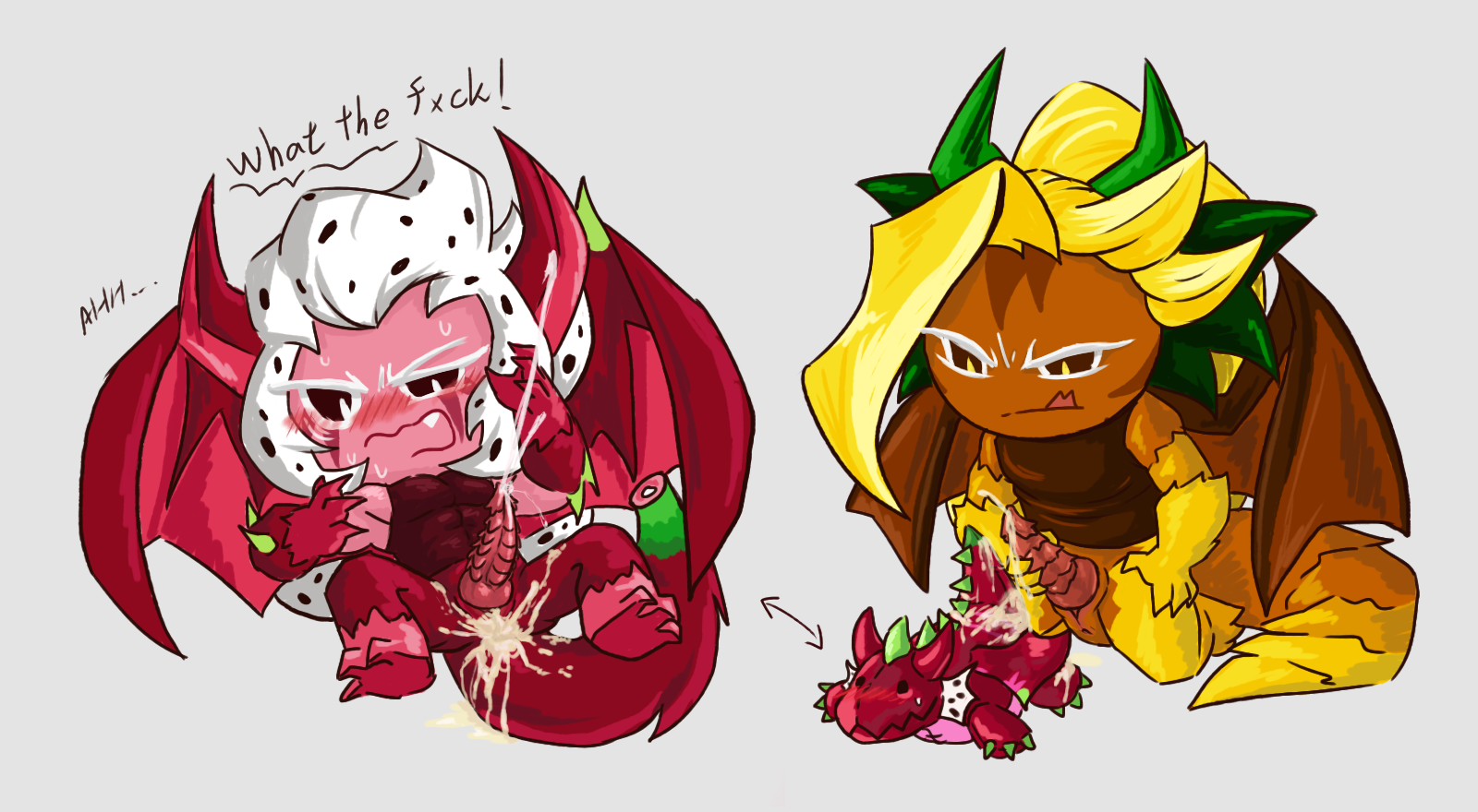 Ananas dragon cookie x pitaya dragon cookie