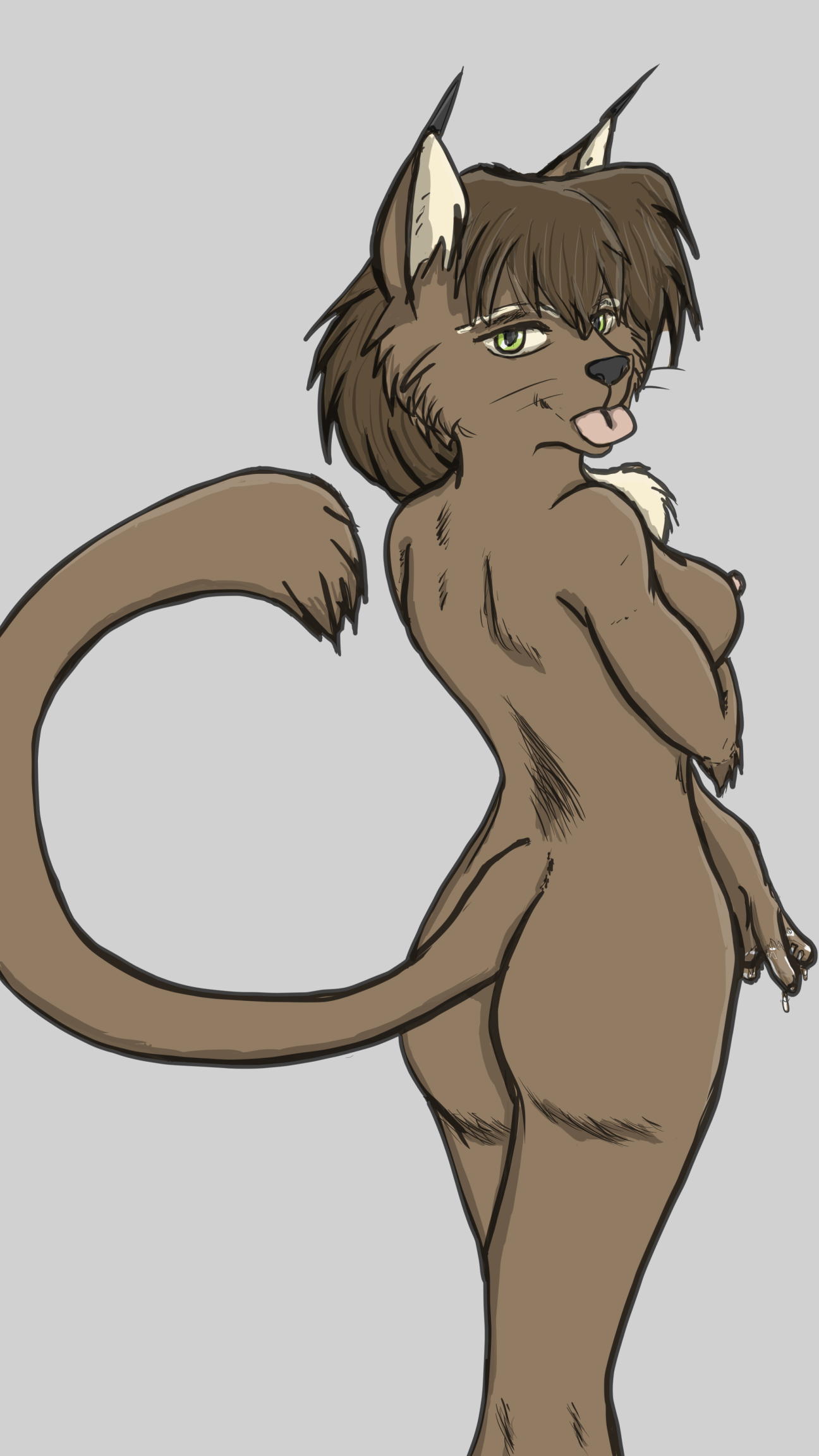 hi res, caracal, caracal (genus), felid, feline, female, mammal, nude, 