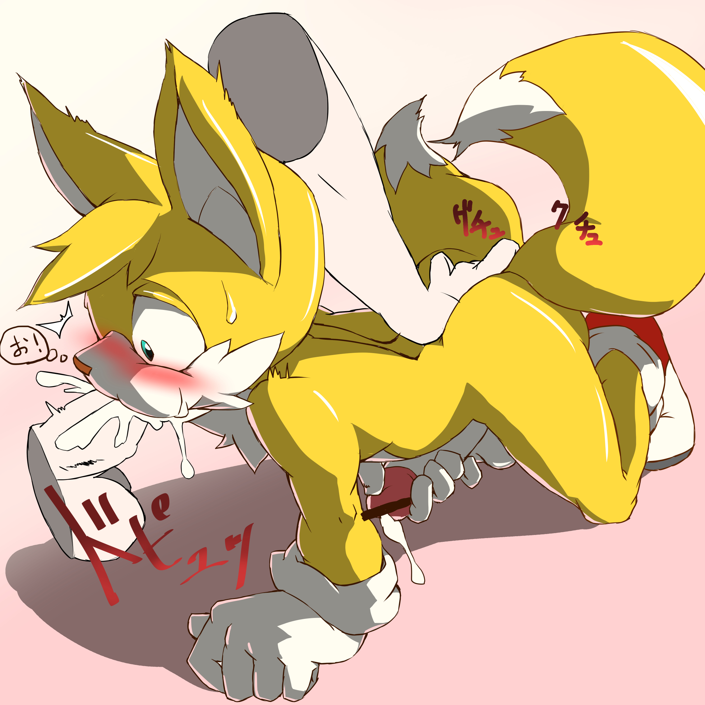 Sonic tails yaoi hentai фото 46