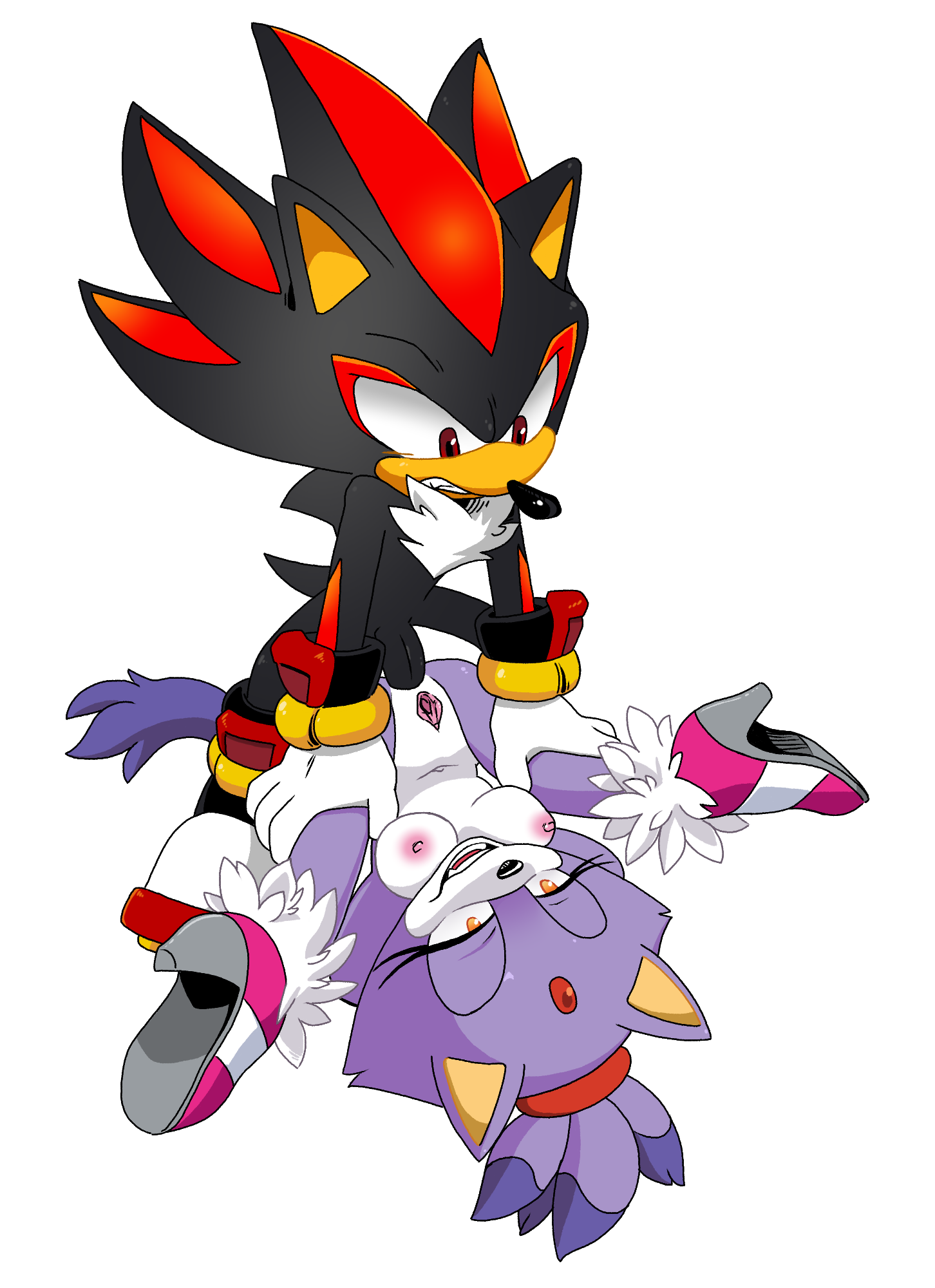 Rule34 - If it exists, there is porn of it / blaze the cat, shadow the  hedgehog / 5563566