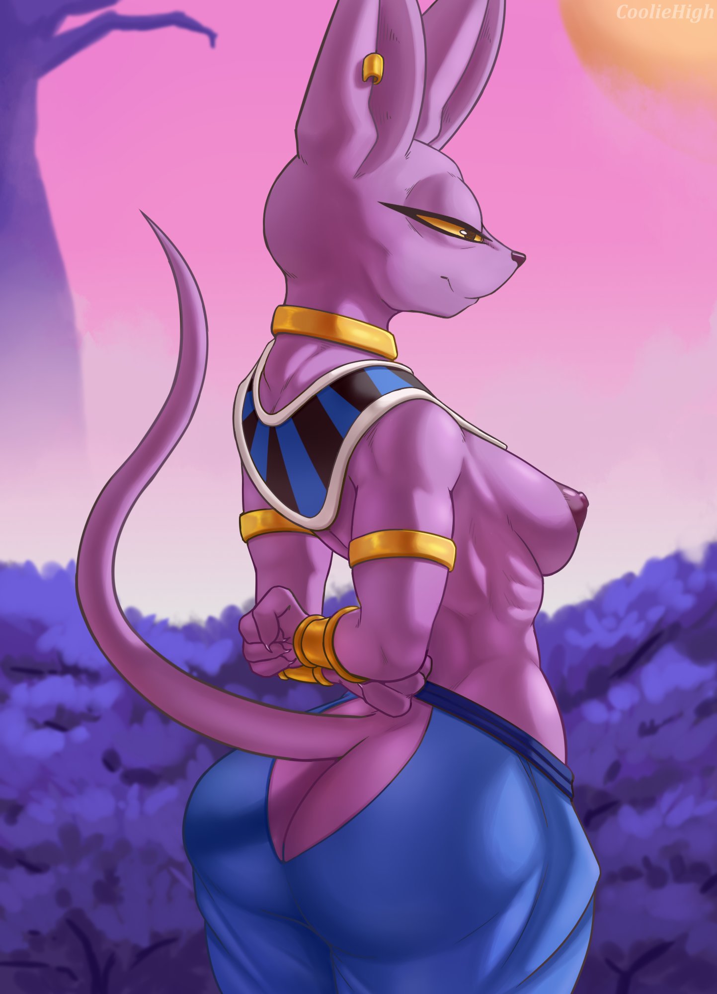 Rule34 - If it exists, there is porn of it  cooliehigh, beerus  2509744