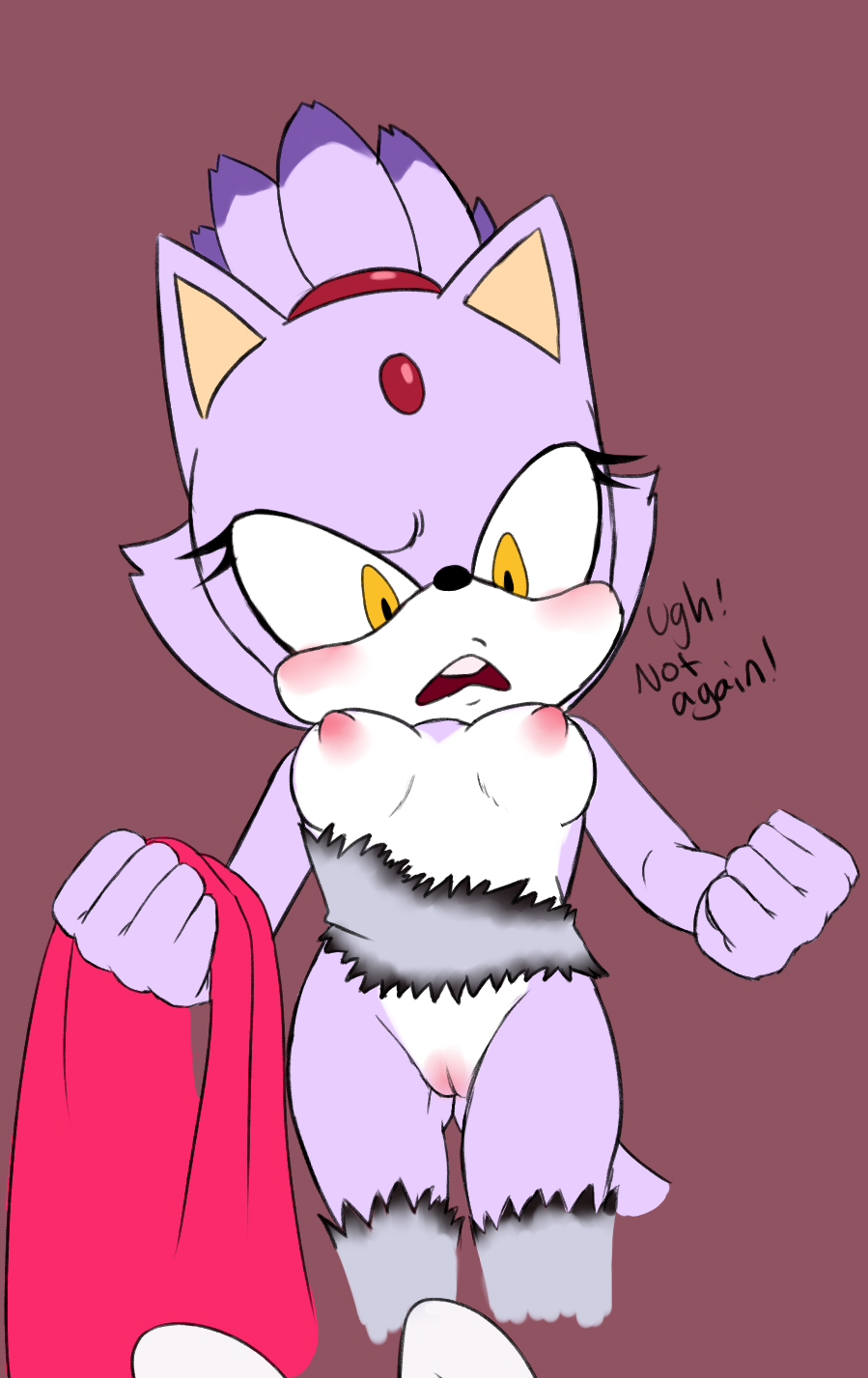 Sexy Blaze The Cat