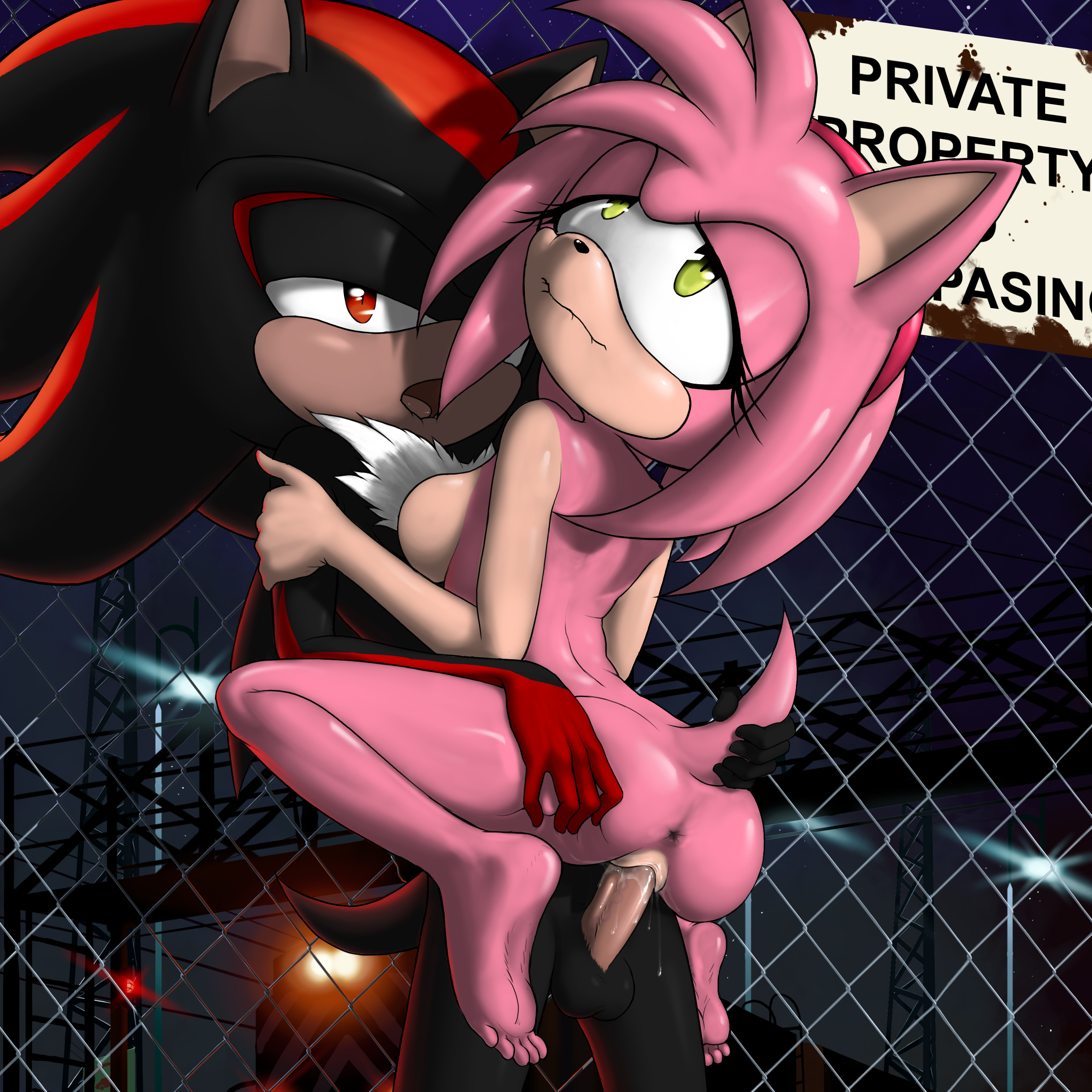 Rule34 - If it exists, there is porn of it / dash-the-cheetah, amy rose,  shadow the hedgehog / 3851936