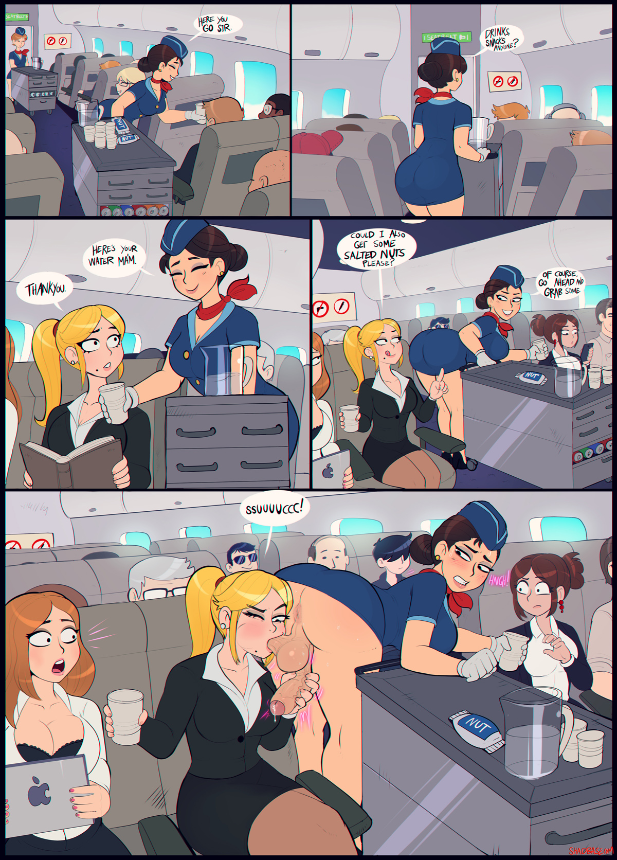 Shadman flight attendant