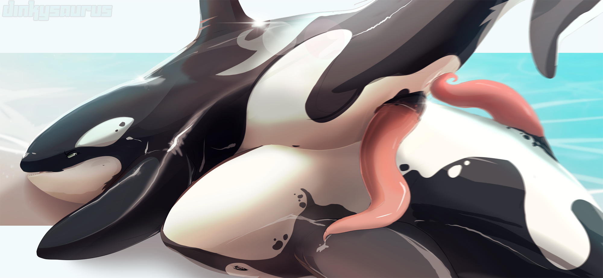 Orca cock - Best adult videos and photos.