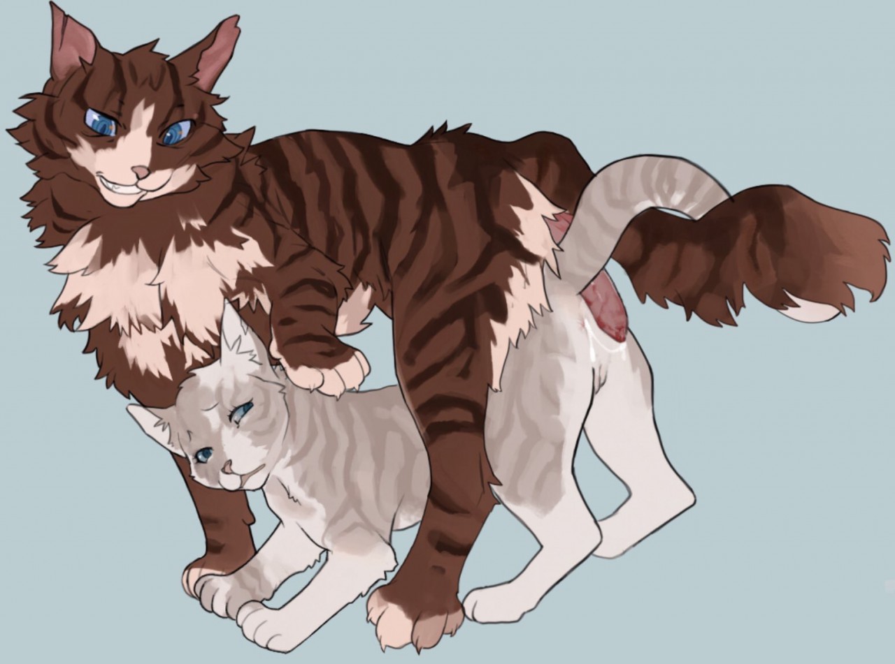 Warrior cats xxx