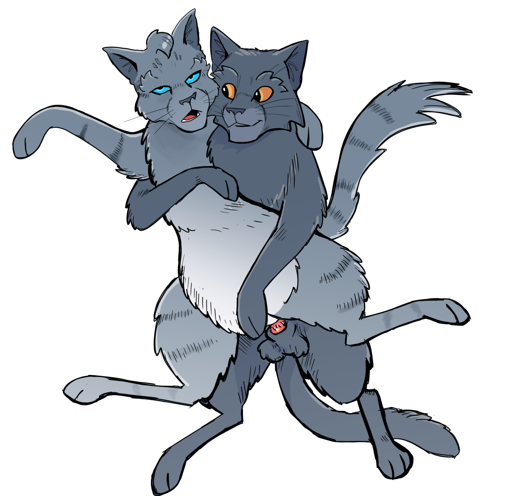 Warrior cats porn