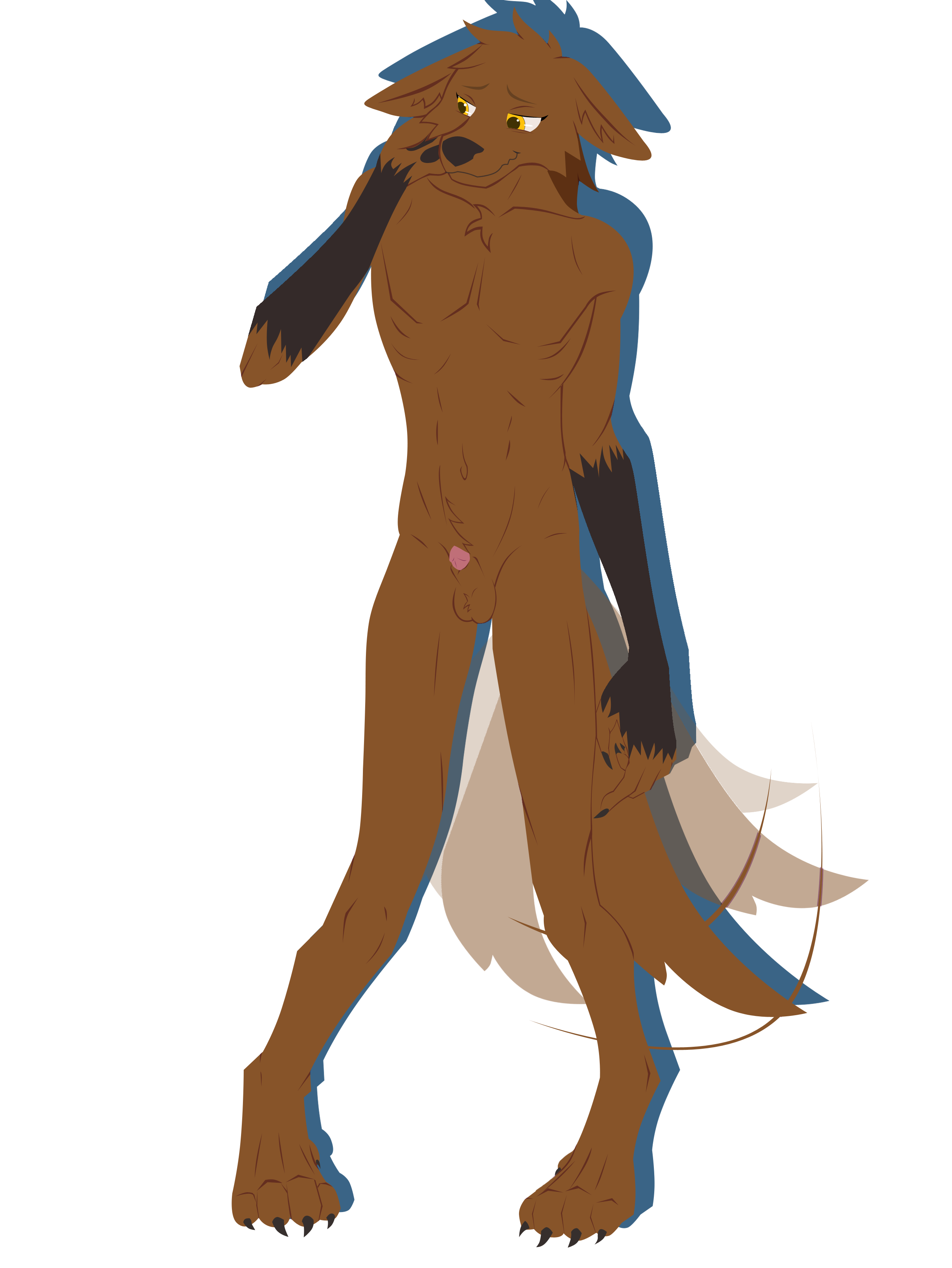 absurd_res anthro balls black_body black_fur brown_body brown_fur canid canine canis claws ears_down elgesugha fur genitals hand_on_face hi_res male mammal mythological_canine mythological_creature mythology nude paavo_lawson penis penis_tip pivoted_ears shy slight_smile solo tail tail_motion tailwag were werecanid werecanine werewolf wolf yellow_eyes