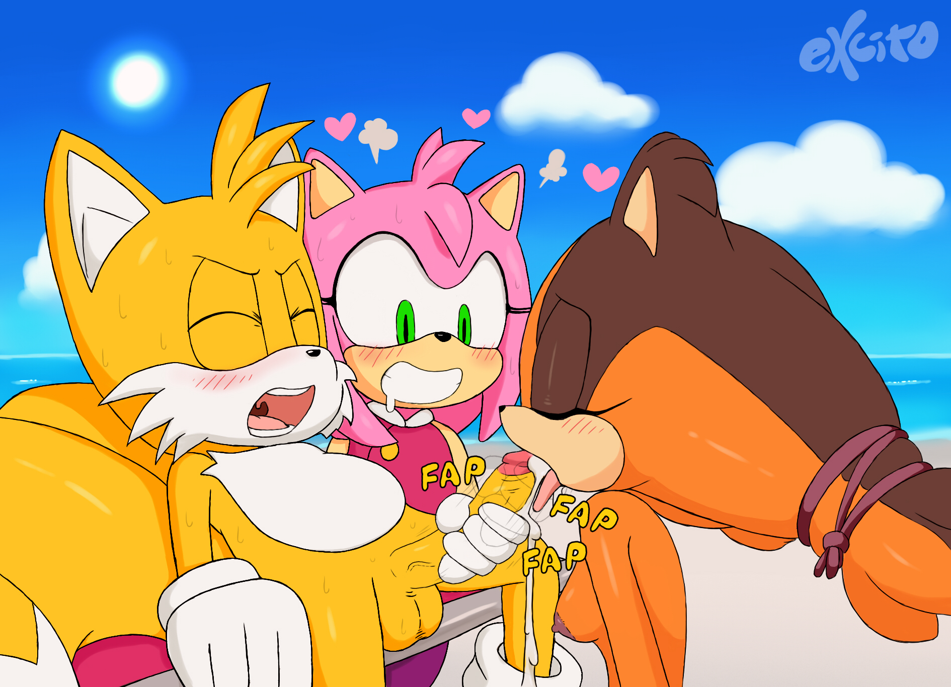 excito, amy rose, sticks the jungle badger, tails, sonic (series), sonic bo...