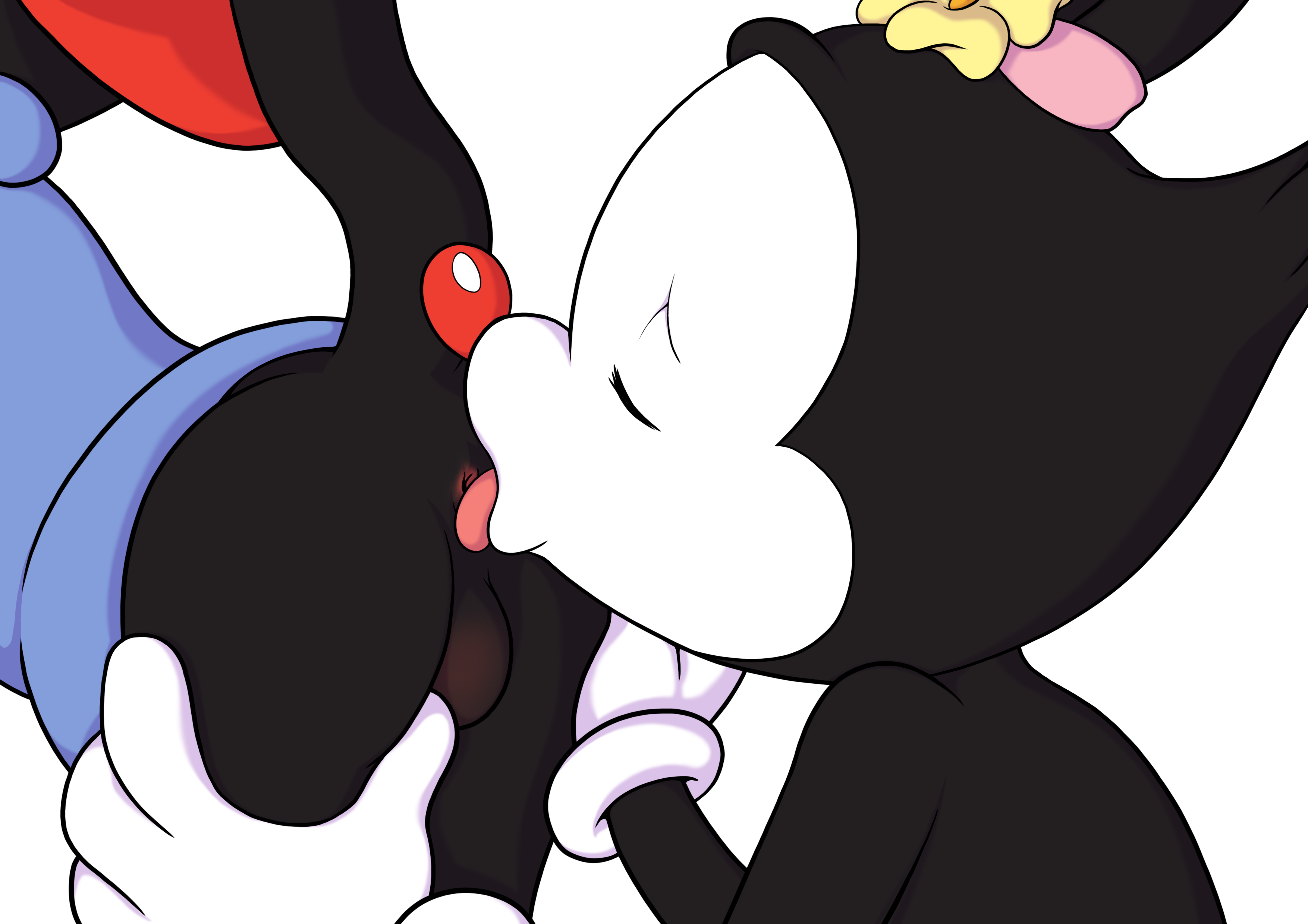 Rule 34 animaniacs