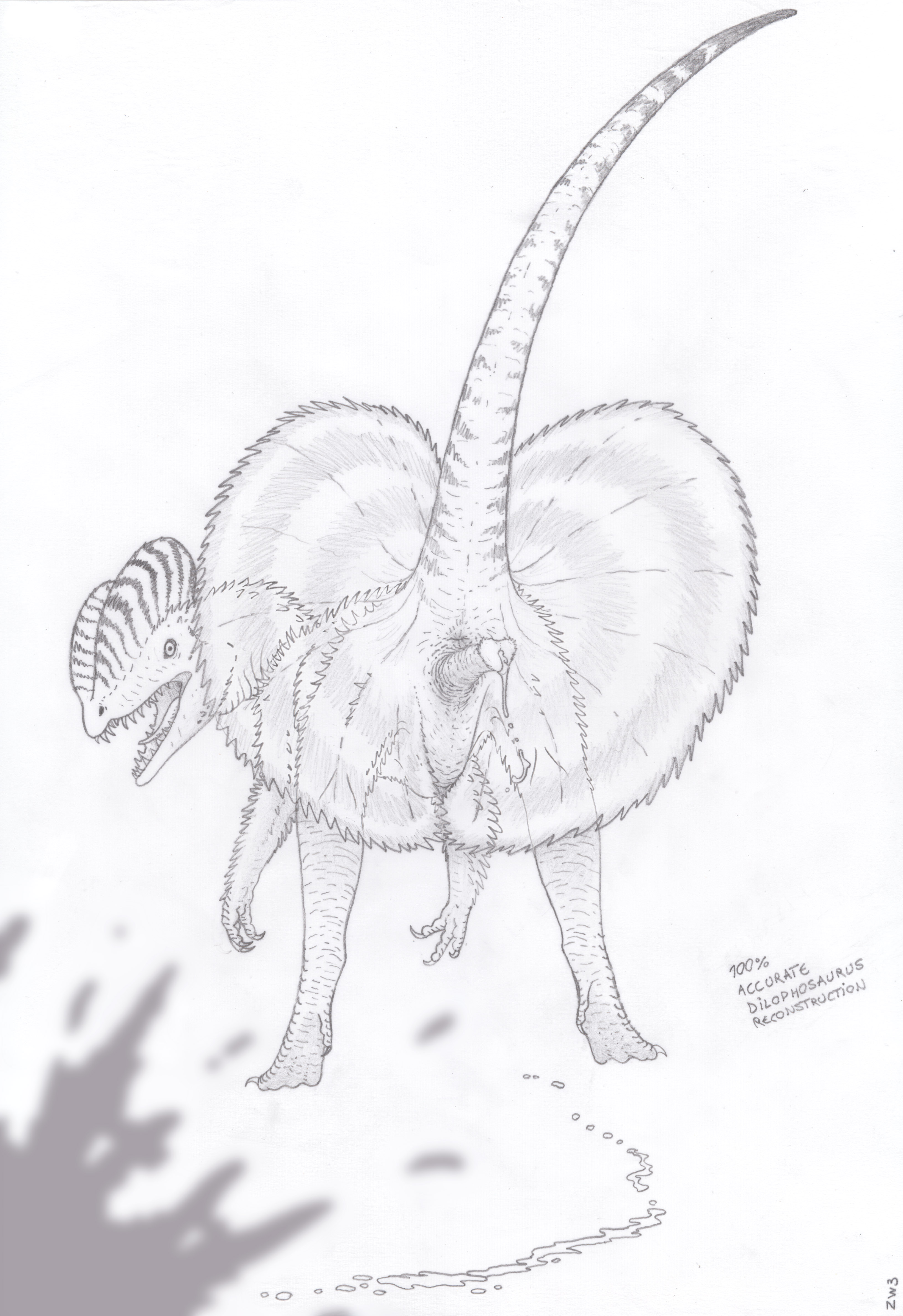 Дилофозавр карандашом