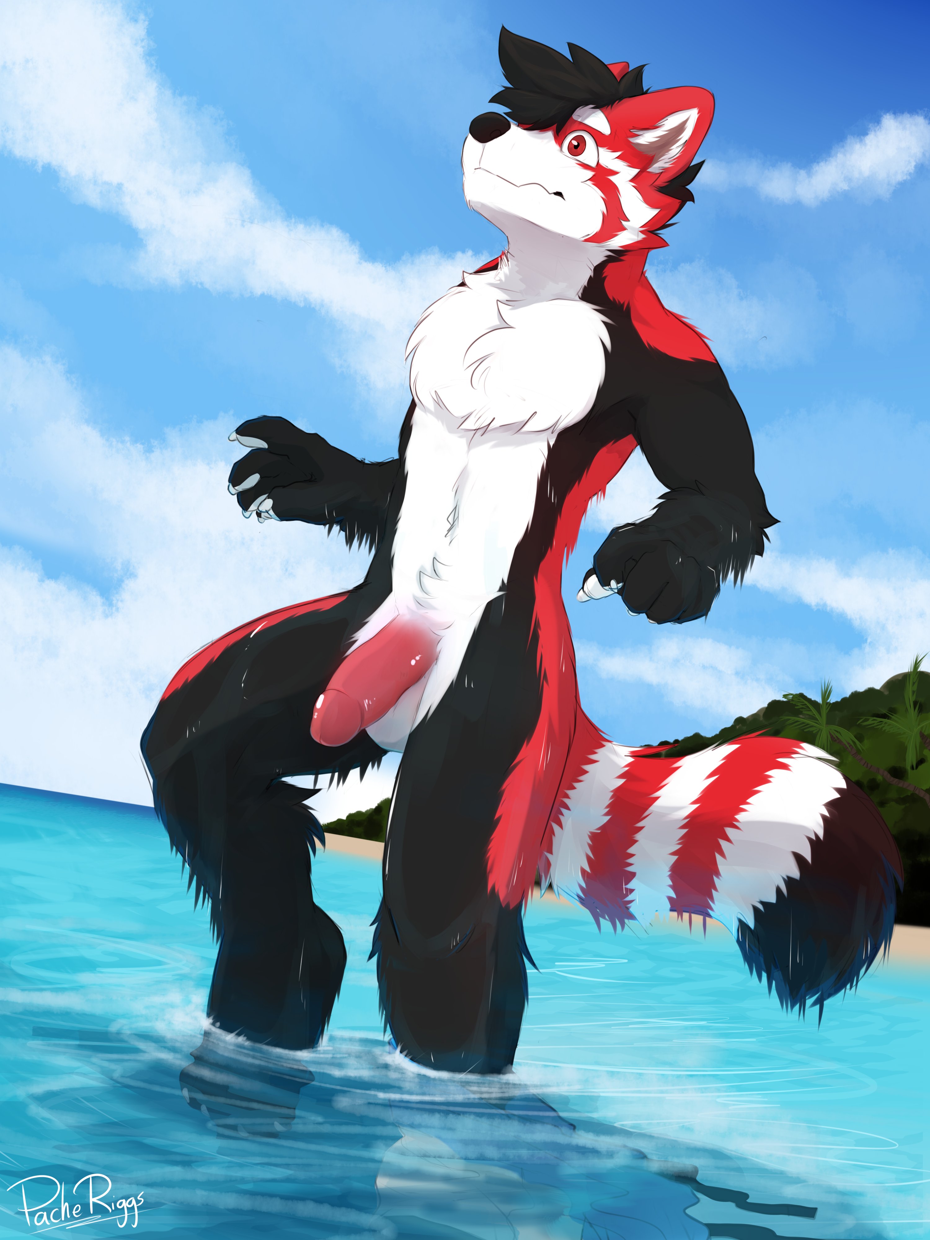 tagme, beach, dick, <b>furry</b>, <b>yaoi</b>.