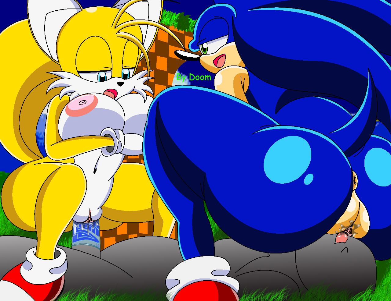 sonic the hedgehog, tails, tailsko, sonic (series), color, rule 63, 2girls,...
