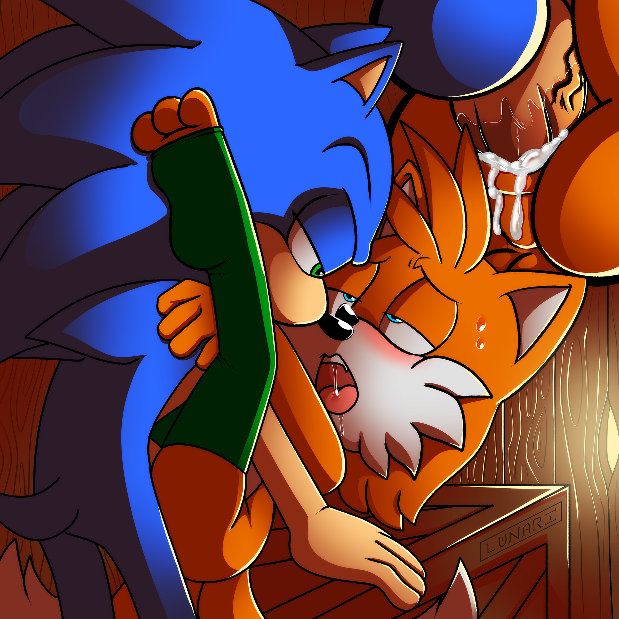 Fast and furious: sonic and tails gay porn action in hd