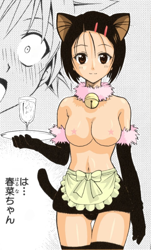 haruna sairenji, to love-ru, tagme, 
