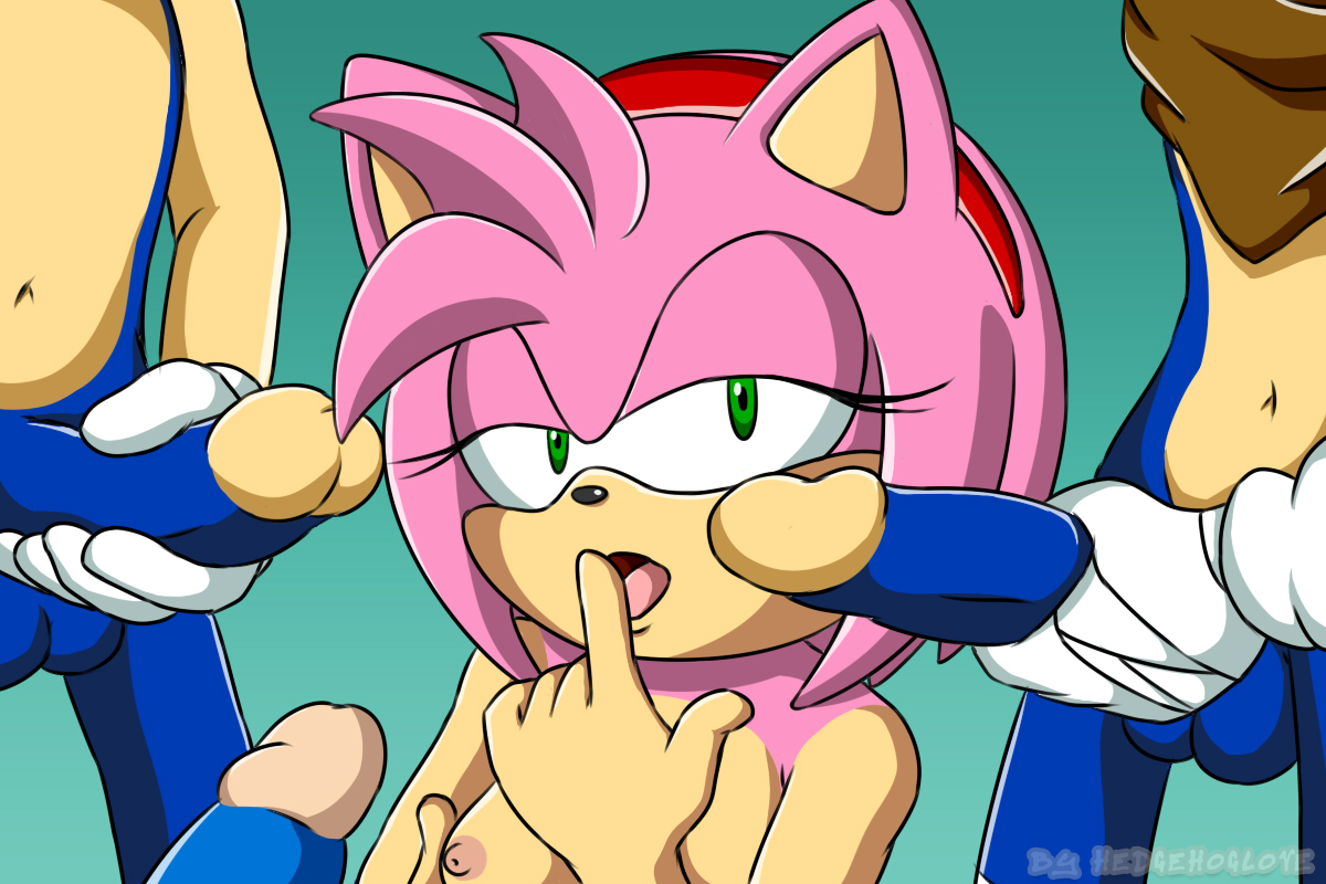 Rule34 - If it exists, there is porn of it  hedgehoglove, amy rose,  classic sonic, sonic the hedgehog  1055989