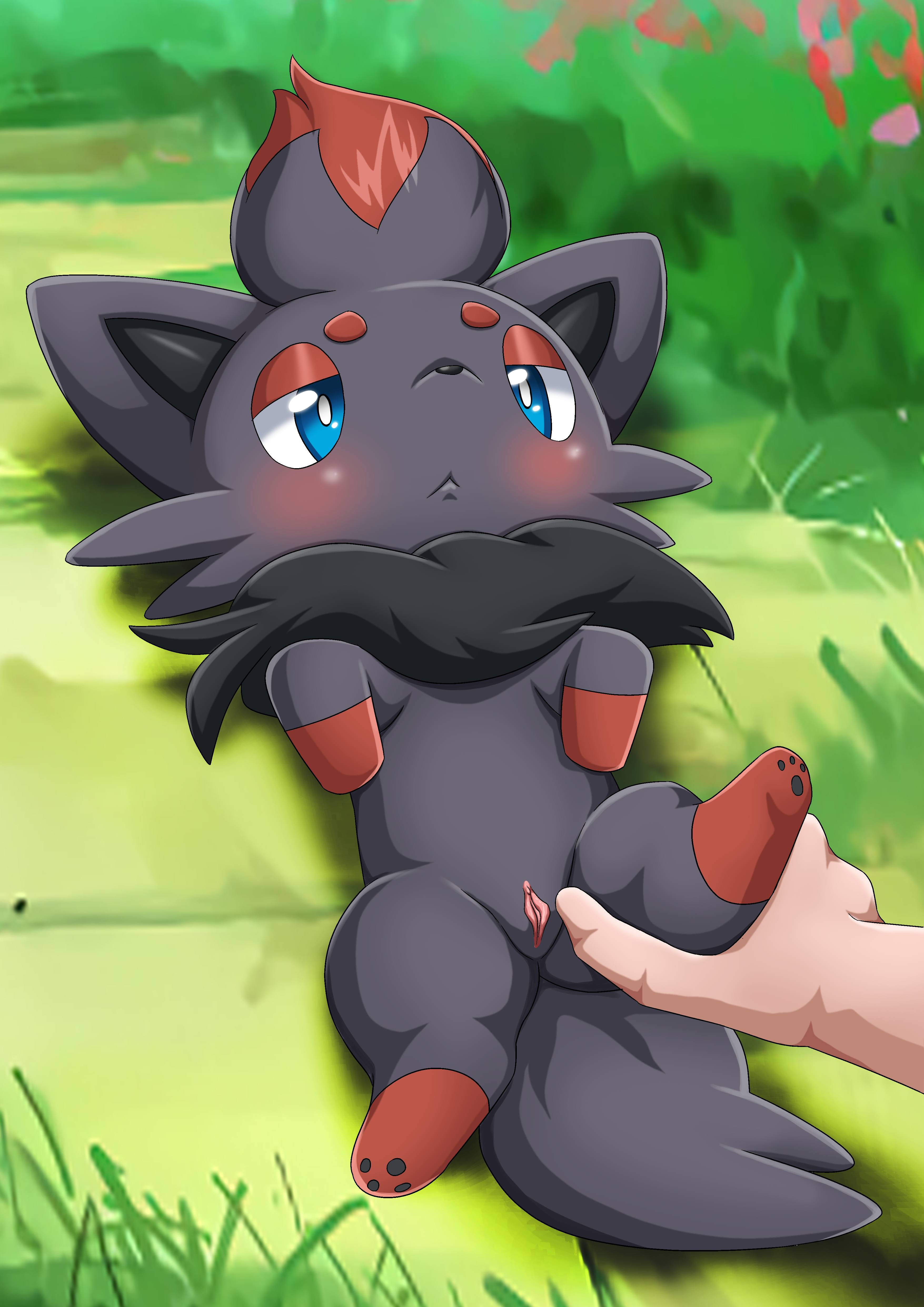 Zorua evolution level