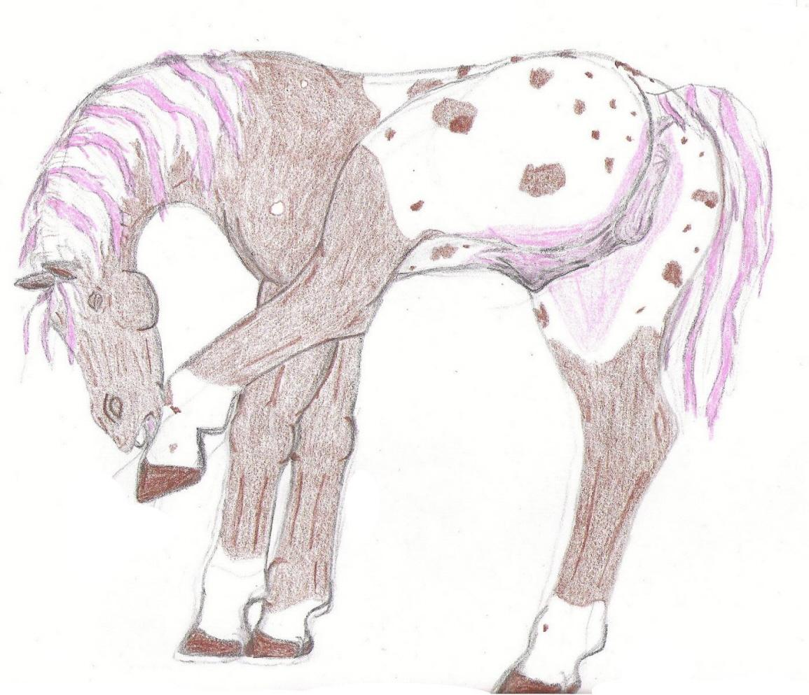 Rule34 - If it exists, there is porn of it  calypso  2959118