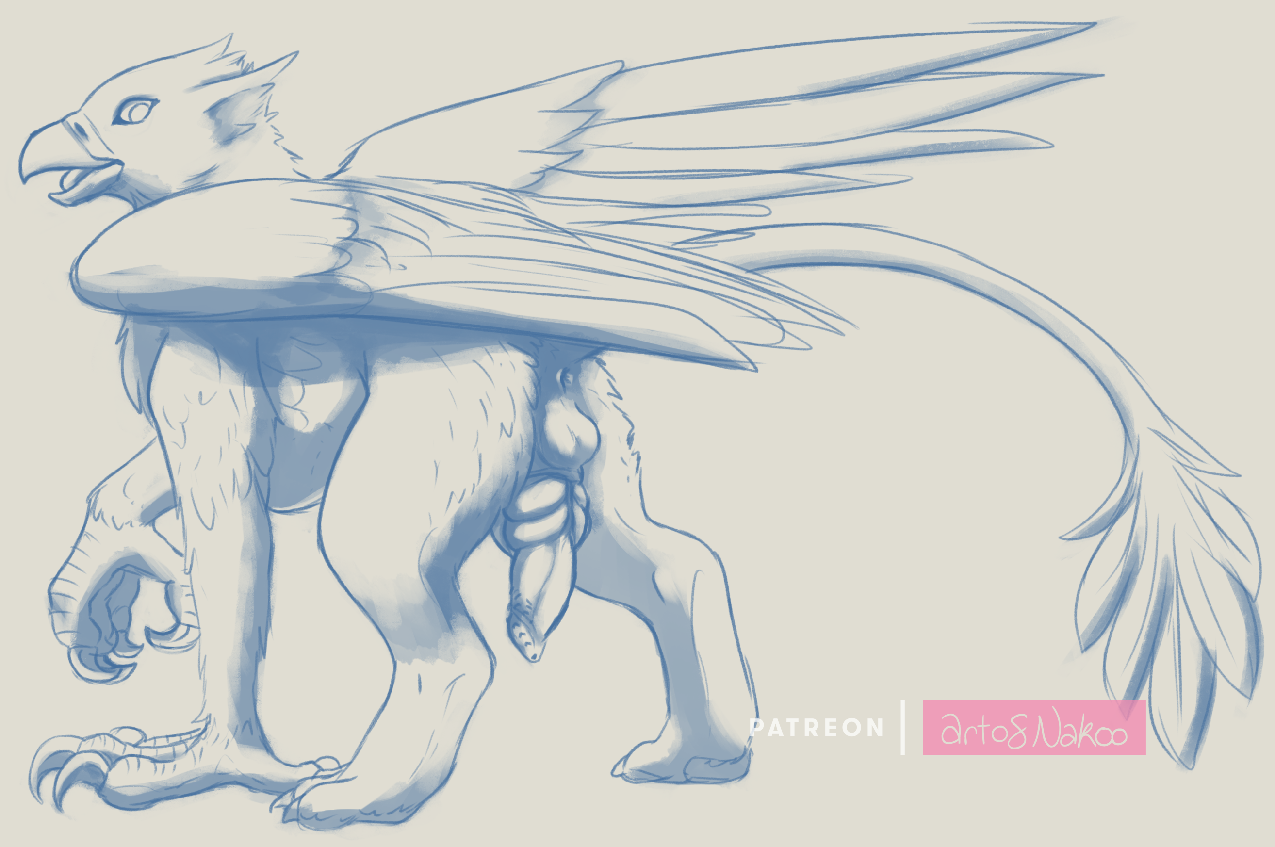 nakoo, 2018, patreon, simple background, sketch, animal genitalia, animal penis, anus, avian, balls, claws, feral, gryphon, knot, looking back, male, male only, multi knot, open mouth, paws, penis, presenting, signature, solo, wings, 