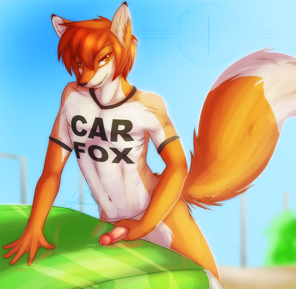 Rule34 - If it exists, there is porn of it / wing-of-chaos, car fox / 42521