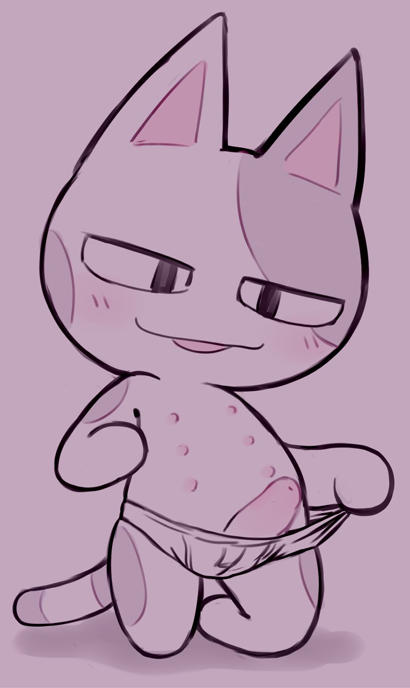 Chibi cat