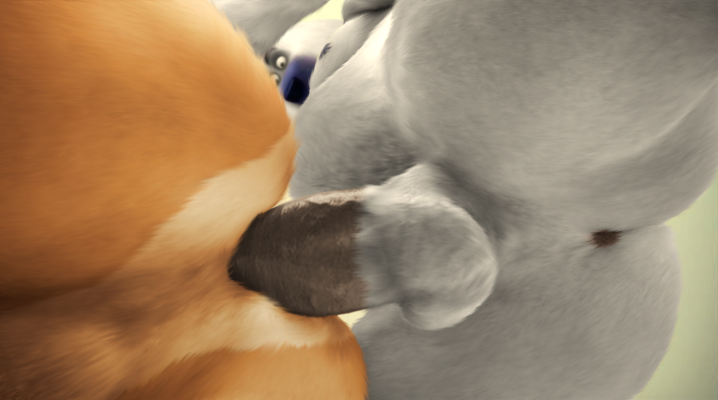 oystercatcher7, corporal the polar bear, dreamworks, madagascar, the penguins of madagascar, edit, all fours, anal, anus, ass, balls, bear, big penis, doggy style, from behind, kangaroo, male, mammal, marsupial, penis, photo manipulation, photomorph, polar bear, sex, yaoi, 