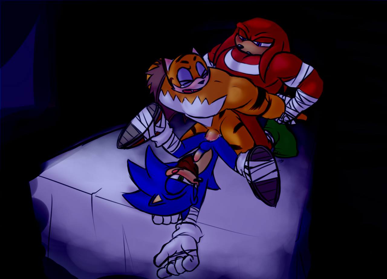 Rule34 - If it exists, there is porn of it / rolz, knuckles the echidna,  sonic the hedgehog / 1107067