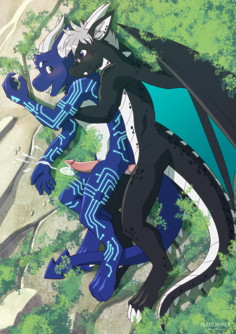 aledonrex, hi res, anal, anal sex, anthro, black body, black scales, blue body, blue fur, blush, bodily fluids, claws, cum, dragon, duo, ed the dragon, erection, exth, fur, furred dragon, genital fluids, genitals, male, male/male, male penetrated, male penetrating, male penetrating male, nude, penetration, penis, pink penis, scales, scalie, sex, slit, smile, wings, 