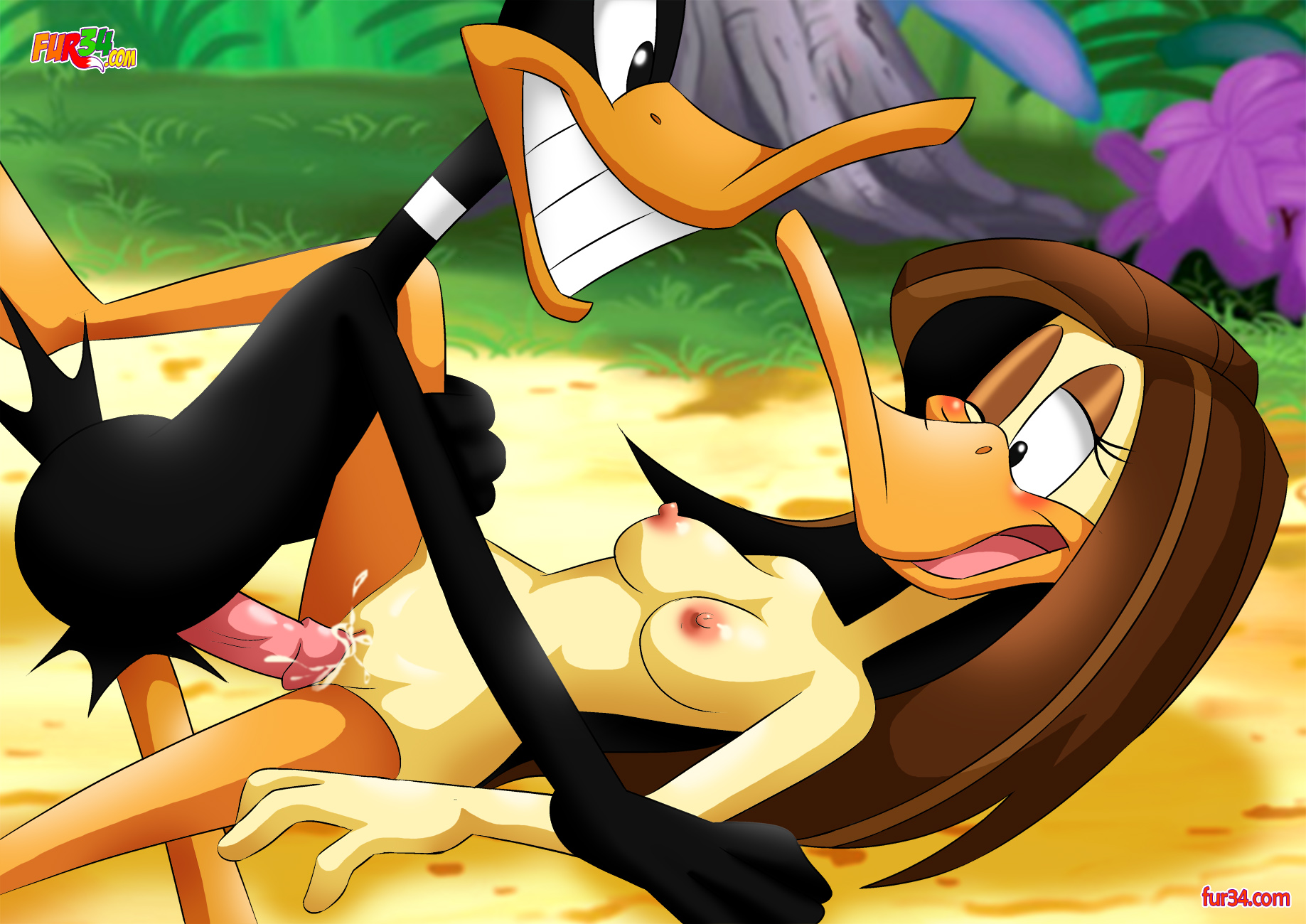 Rule34 - If it exists, there is porn of it / daffy duck, tin