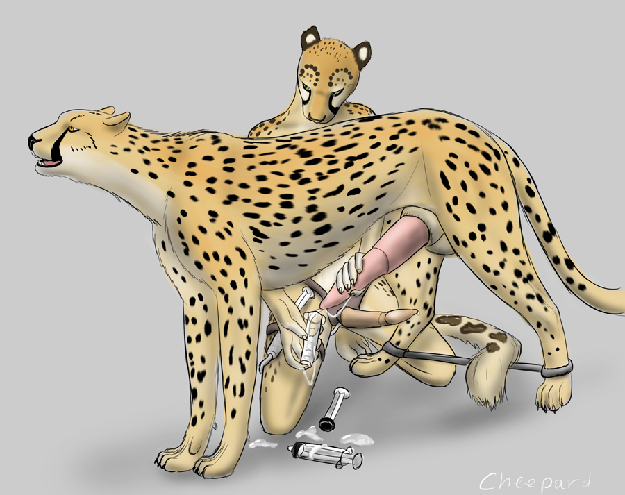 Rule34 If it exists there is porn of it cheepard jasiri