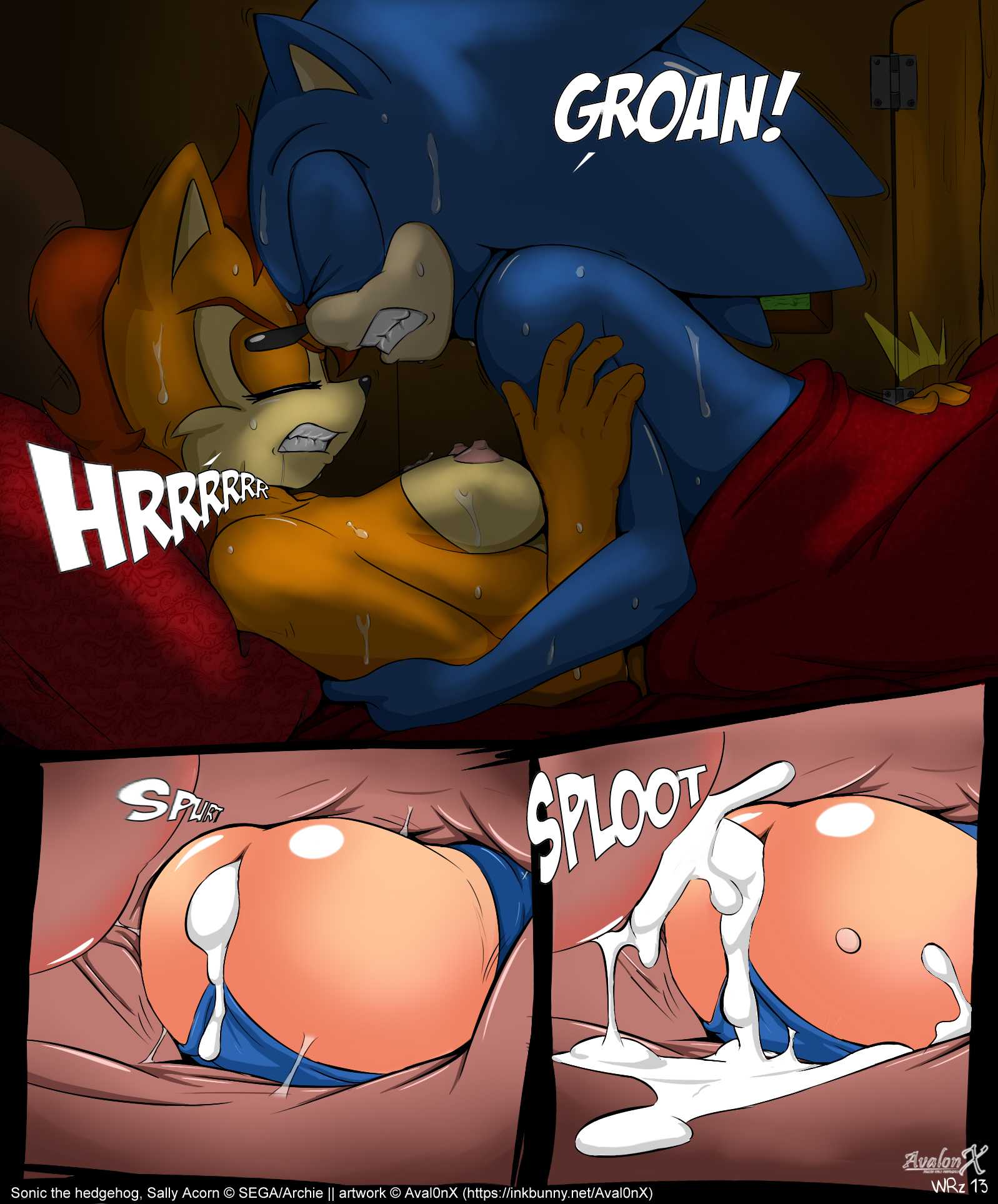 Rule34 - If it exists, there is porn of it / aval0nx, sally acorn, sonic  the hedgehog / 1645499