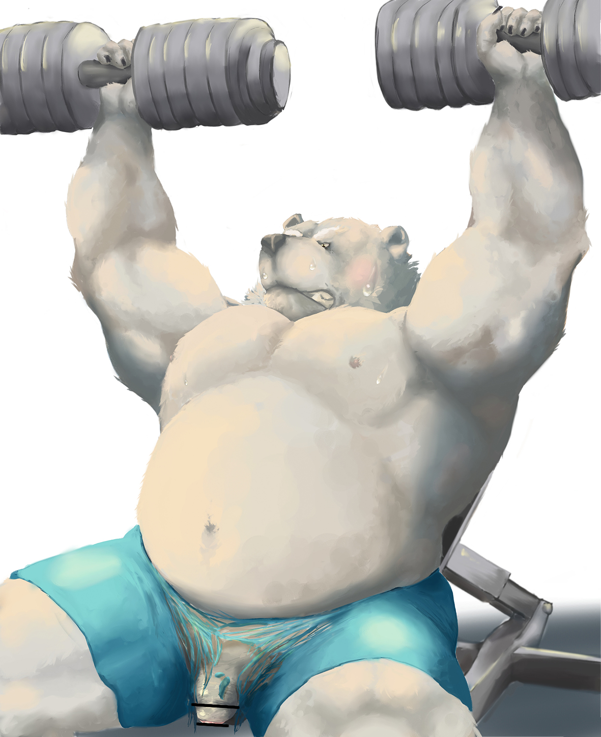 2017, hi res, anthro, belly, bottomwear, clothing, exercise, fur, genitals, kemono, male, male only, mammal, moobs, nipples, overweight, overweight male, penis, polar bear, shorts, solo, ursid, ursine, velcro74656, white body, white fur, workout, 