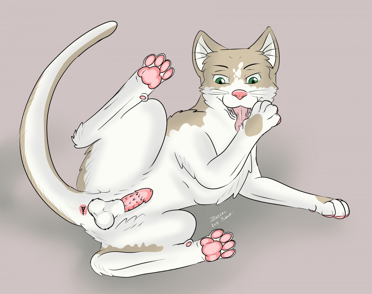 simple background, abstract background, animal genitalia, animal penis, anus, arcticdunx, balls, barb, erection, evan housecat, feline, feral, male, mammal, penis, presenting, sheath, solo, tongue, 