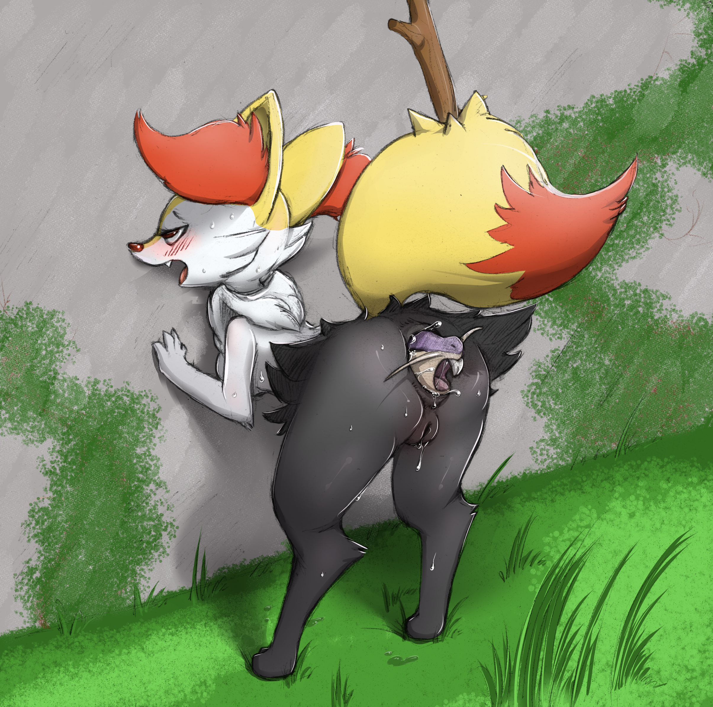 Pokemon braixen vore